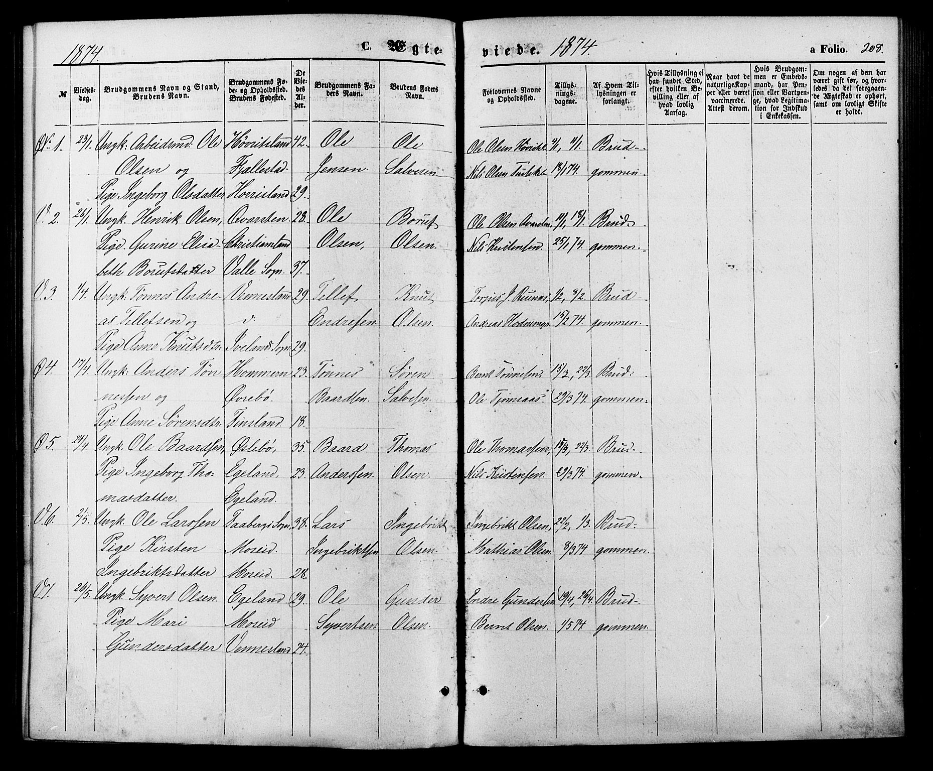 Vennesla sokneprestkontor, AV/SAK-1111-0045/Fa/Fac/L0008: Parish register (official) no. A 8, 1874-1883, p. 208