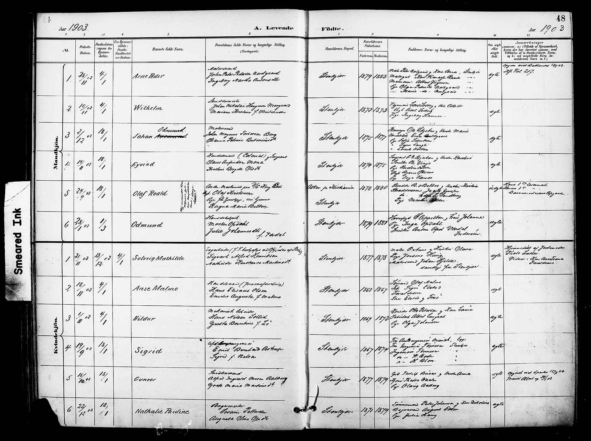 Ministerialprotokoller, klokkerbøker og fødselsregistre - Nord-Trøndelag, SAT/A-1458/739/L0372: Parish register (official) no. 739A04, 1895-1903, p. 48