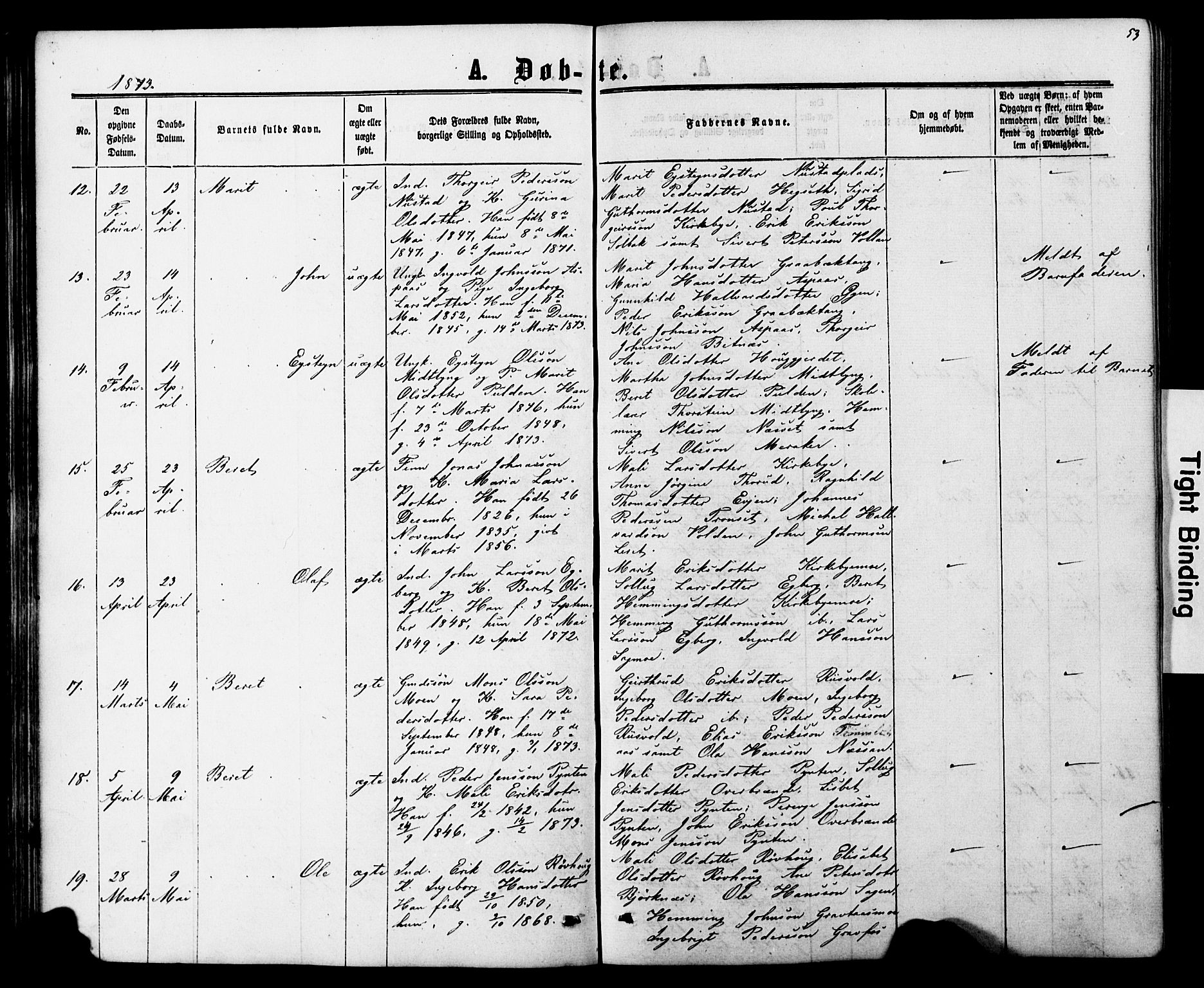 Ministerialprotokoller, klokkerbøker og fødselsregistre - Nord-Trøndelag, SAT/A-1458/706/L0049: Parish register (copy) no. 706C01, 1864-1895, p. 53