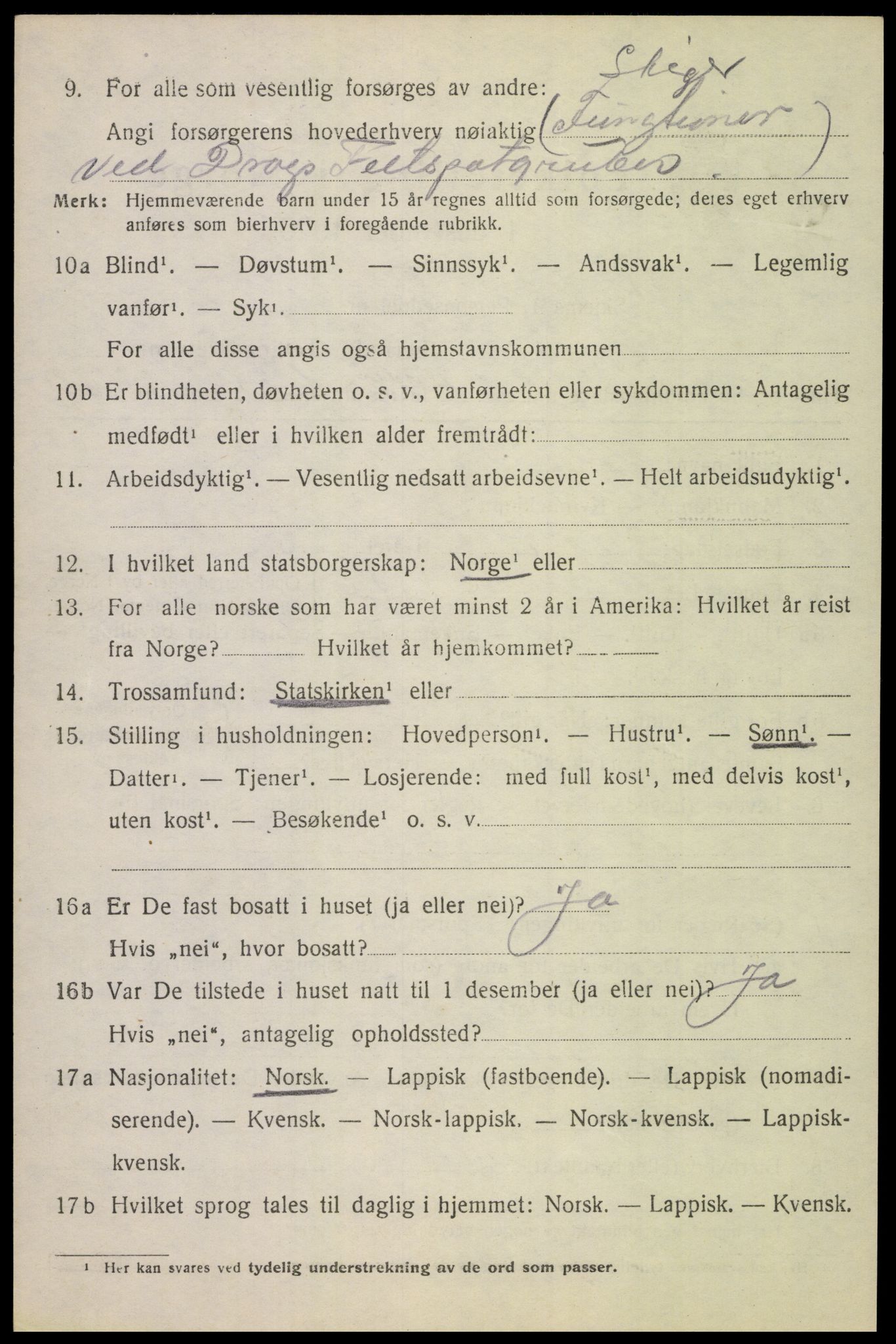 SAT, 1920 census for Tysfjord, 1920, p. 5866