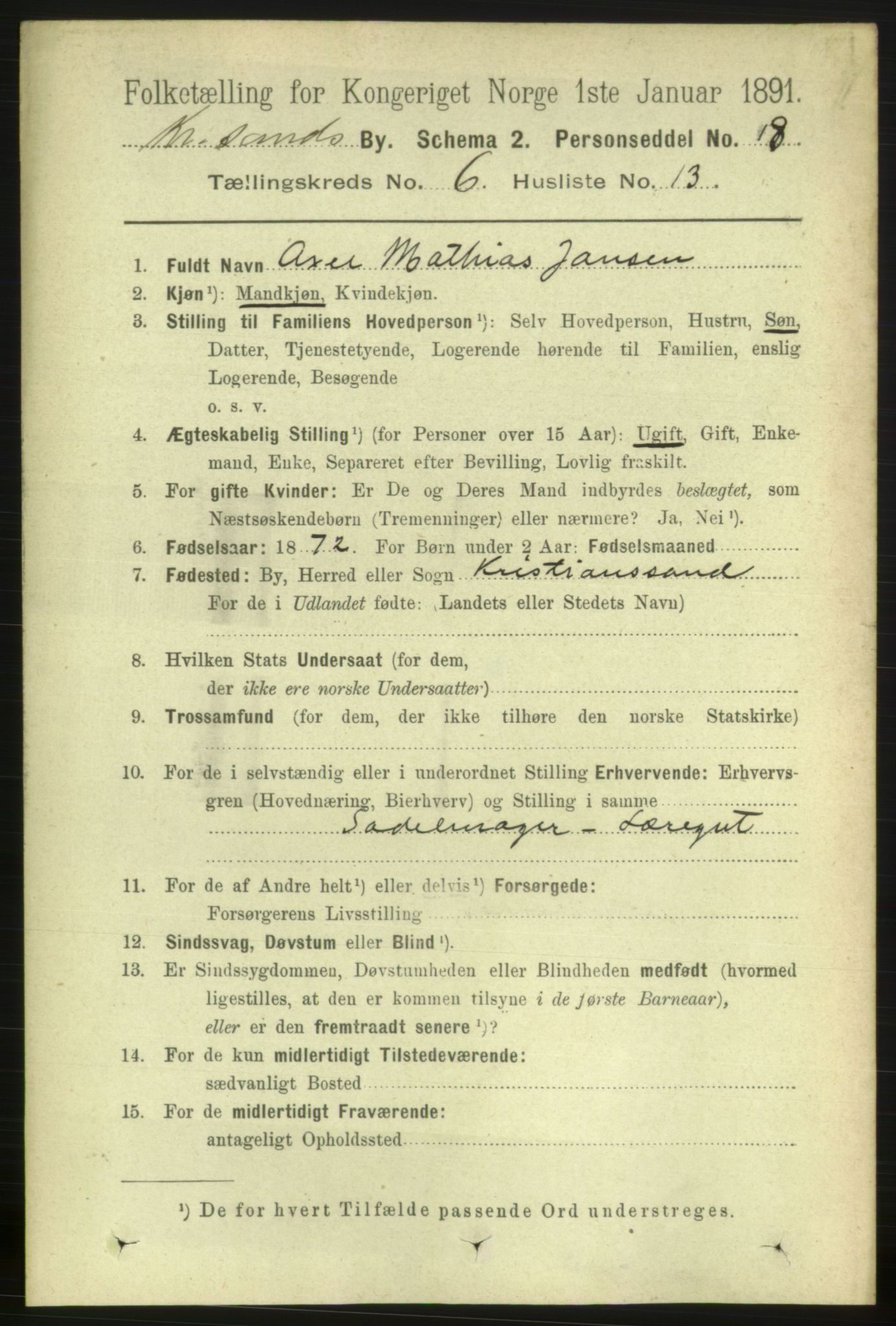 RA, 1891 census for 1001 Kristiansand, 1891, p. 4600