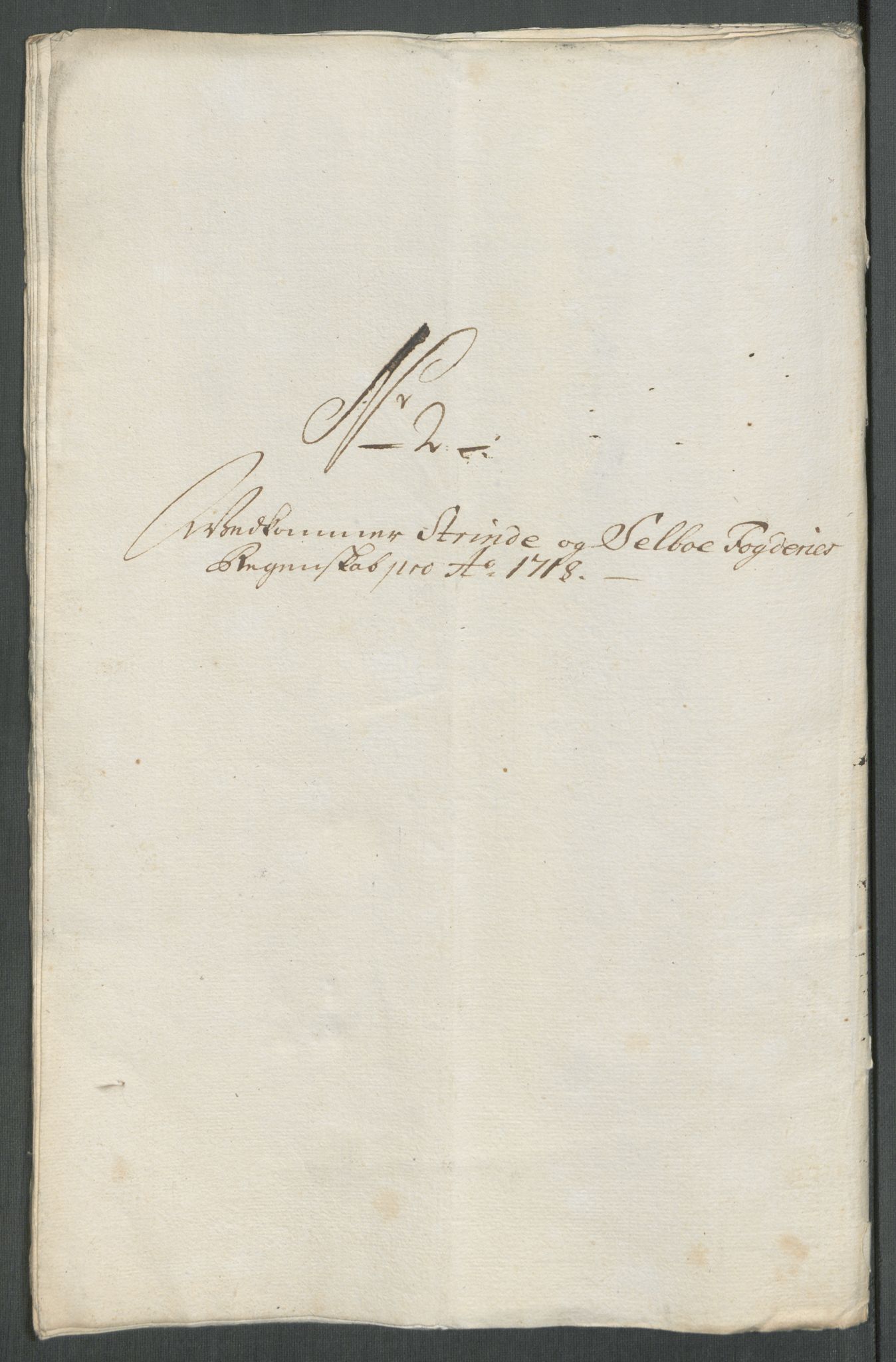 Rentekammeret inntil 1814, Reviderte regnskaper, Fogderegnskap, AV/RA-EA-4092/R61/L4116: Fogderegnskap Strinda og Selbu, 1717-1718, p. 351