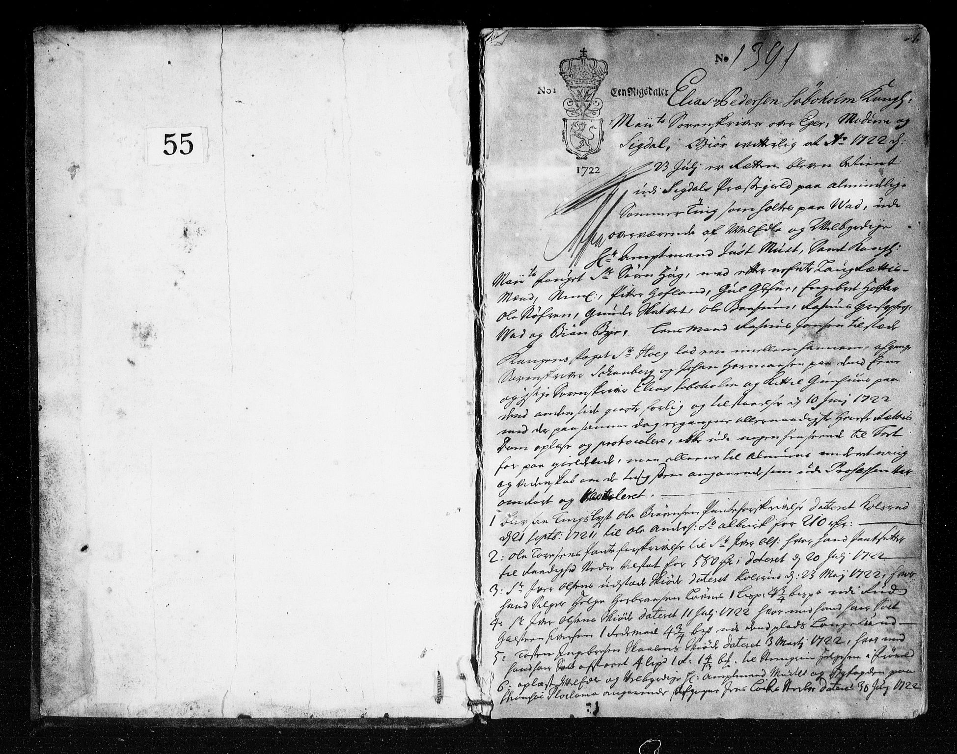 Eiker, Modum og Sigdal sorenskriveri, AV/SAKO-A-123/F/Fa/Faa/L0064: Tingbok, 1722-1724, p. 1