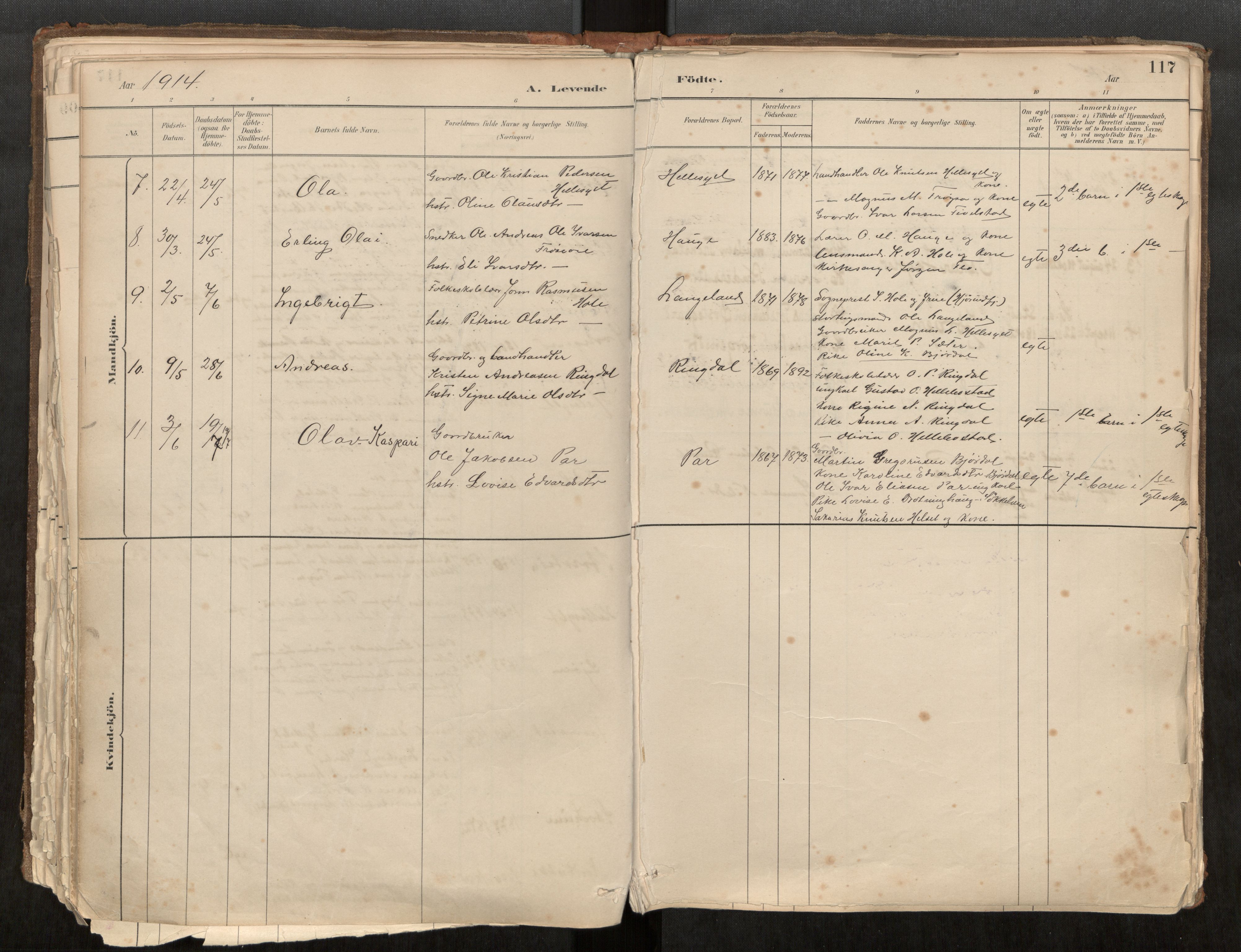 Sunnylven sokneprestkontor, AV/SAT-A-1007: Parish register (official) no. 517A08, 1882-1939, p. 117