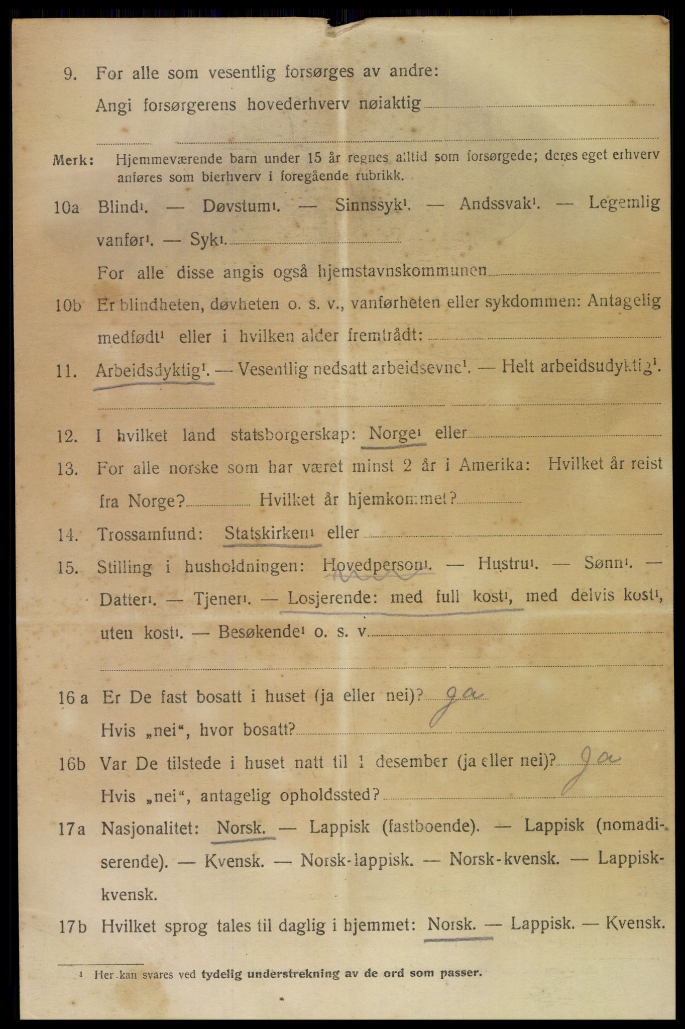 SAT, 1920 census for Bodin, 1920, p. 13033