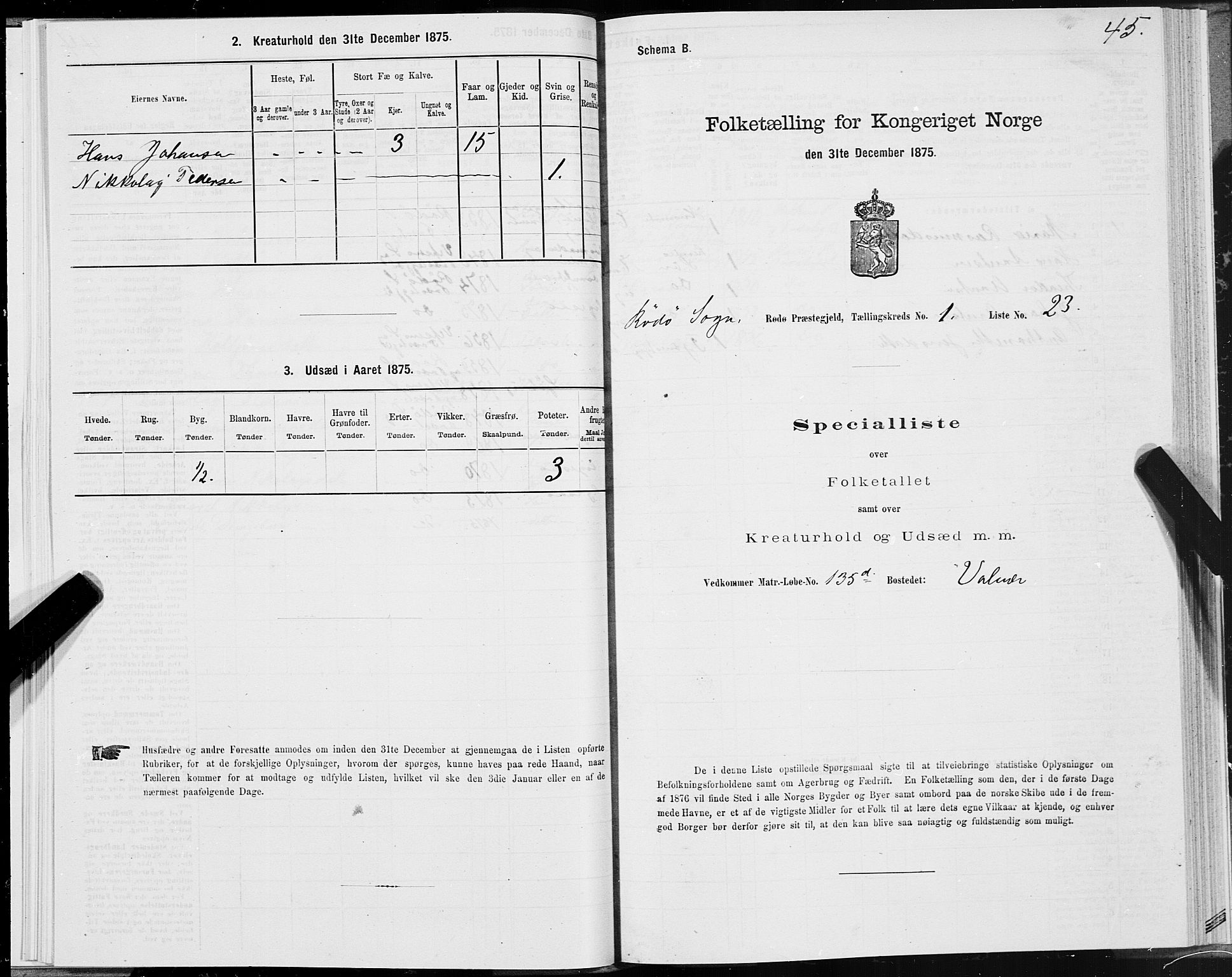 SAT, 1875 census for 1836P Rødøy, 1875, p. 1045