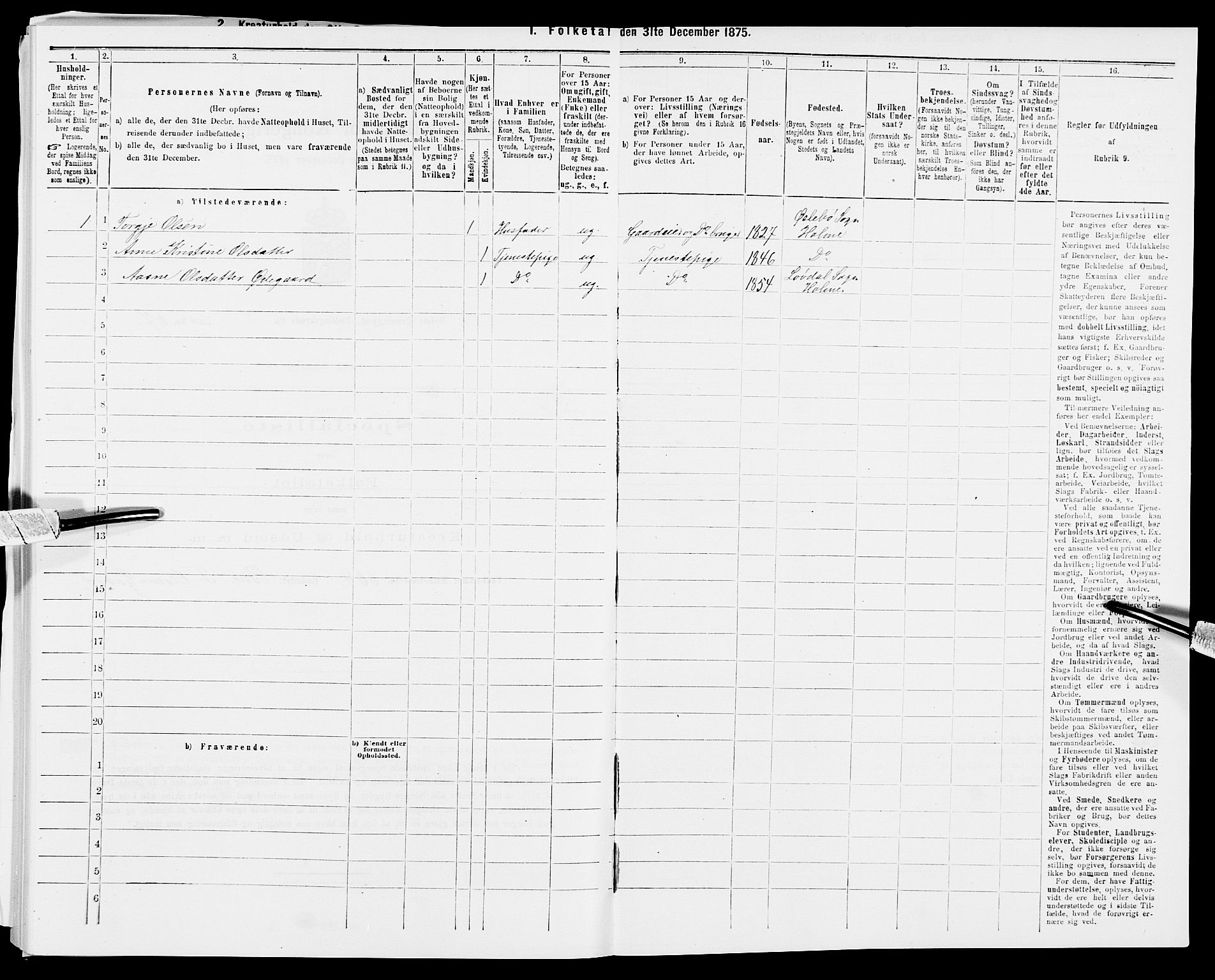 SAK, 1875 census for 1020P Holum, 1875, p. 865