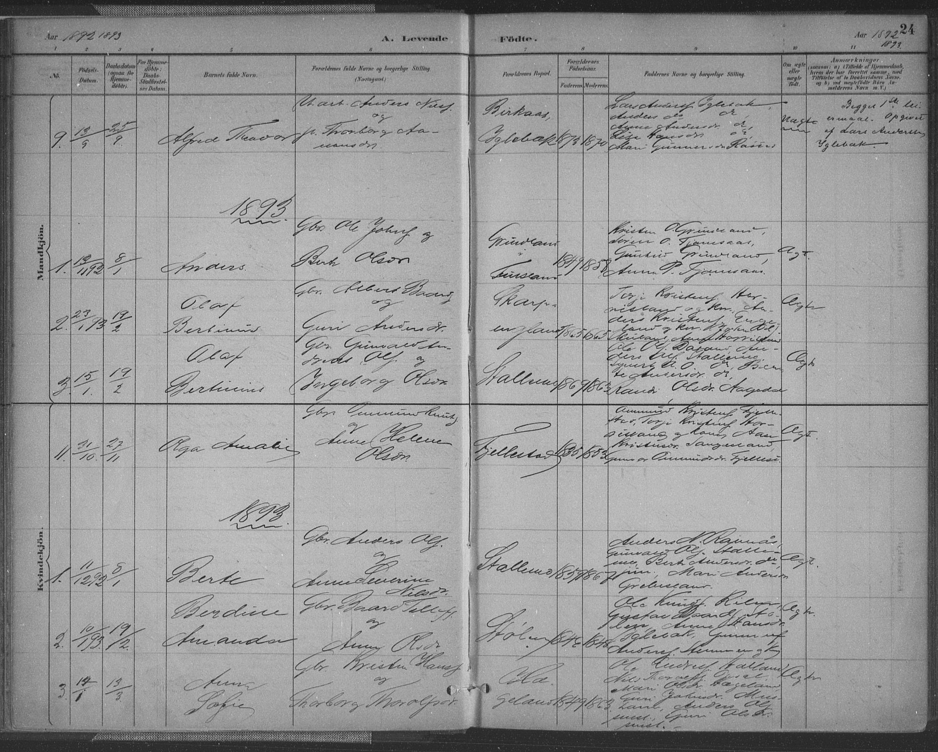 Vennesla sokneprestkontor, SAK/1111-0045/Fa/Fac/L0009: Parish register (official) no. A 9, 1884-1901, p. 24