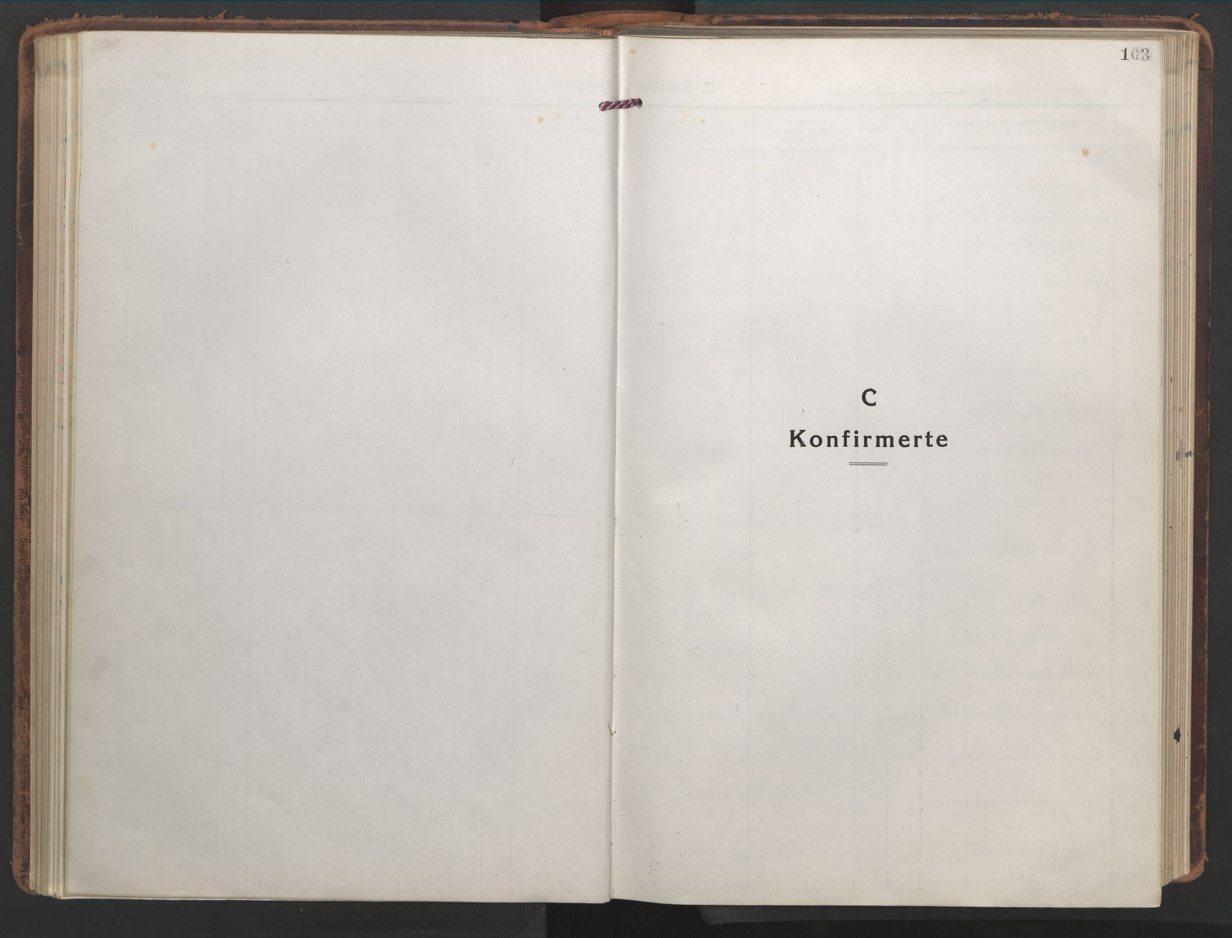 Ministerialprotokoller, klokkerbøker og fødselsregistre - Nordland, SAT/A-1459/839/L0574: Parish register (copy) no. 839C04, 1918-1950, p. 103