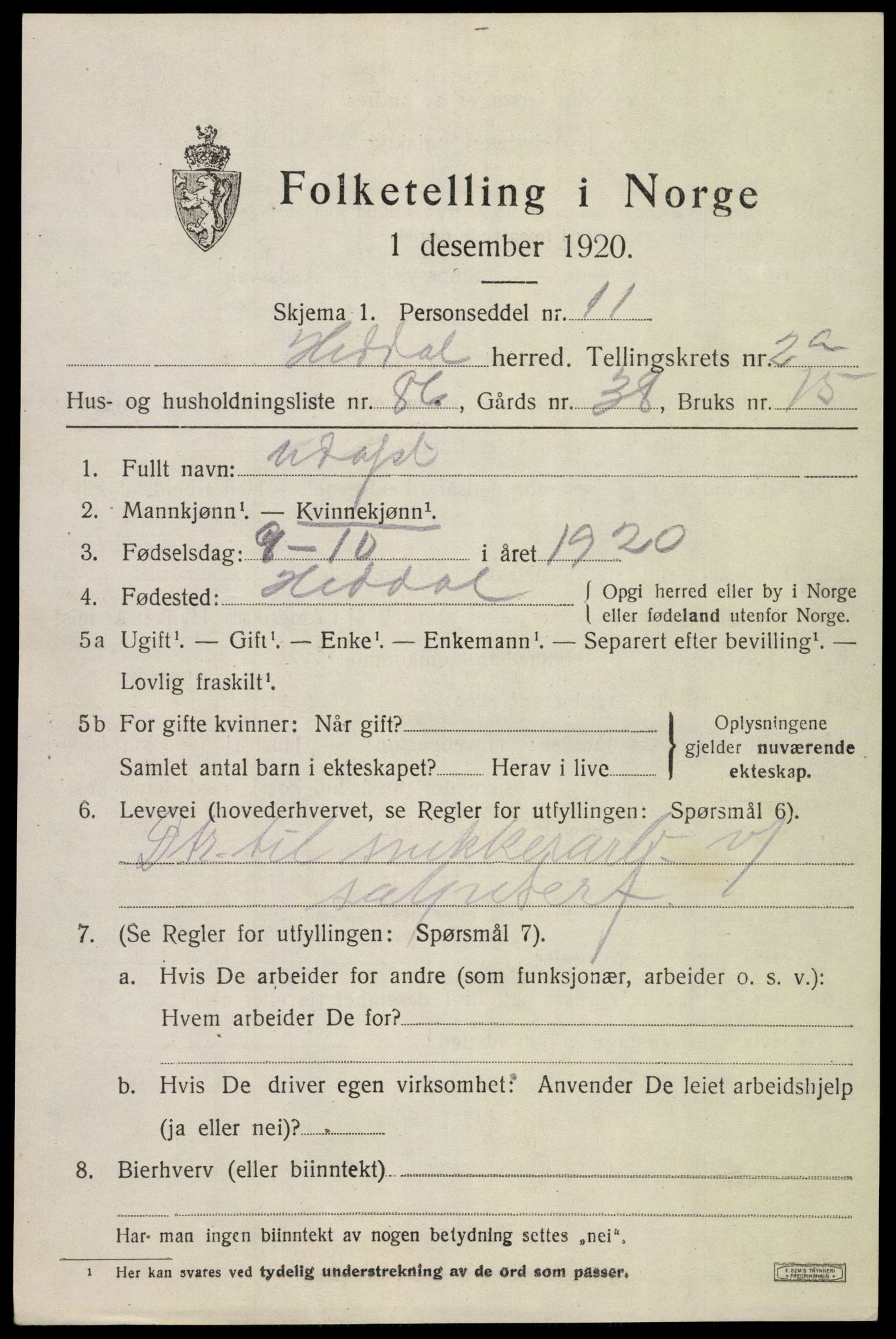 SAKO, 1920 census for Heddal, 1920, p. 2978