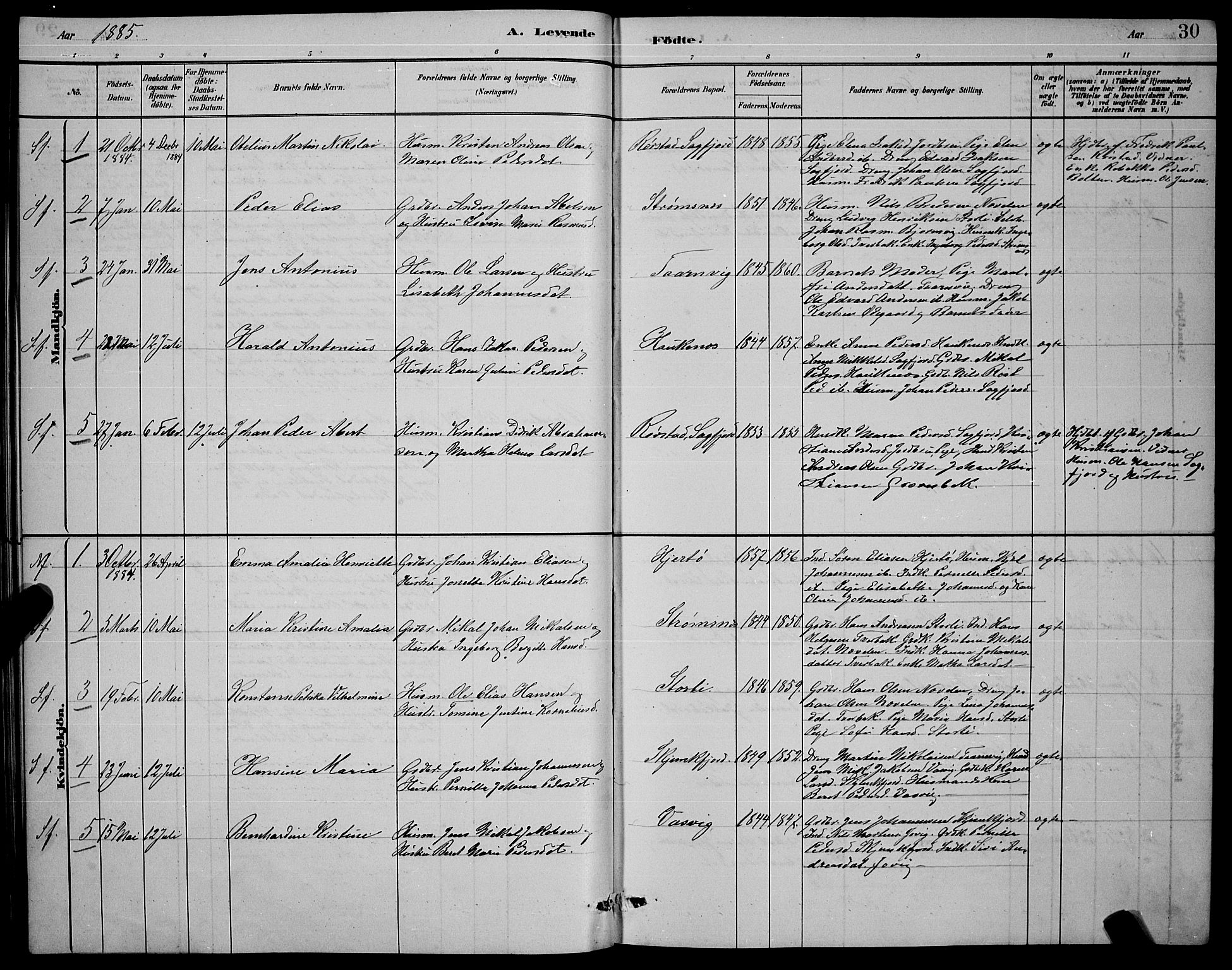 Ministerialprotokoller, klokkerbøker og fødselsregistre - Nordland, AV/SAT-A-1459/853/L0772: Parish register (official) no. 853A11, 1881-1900, p. 30