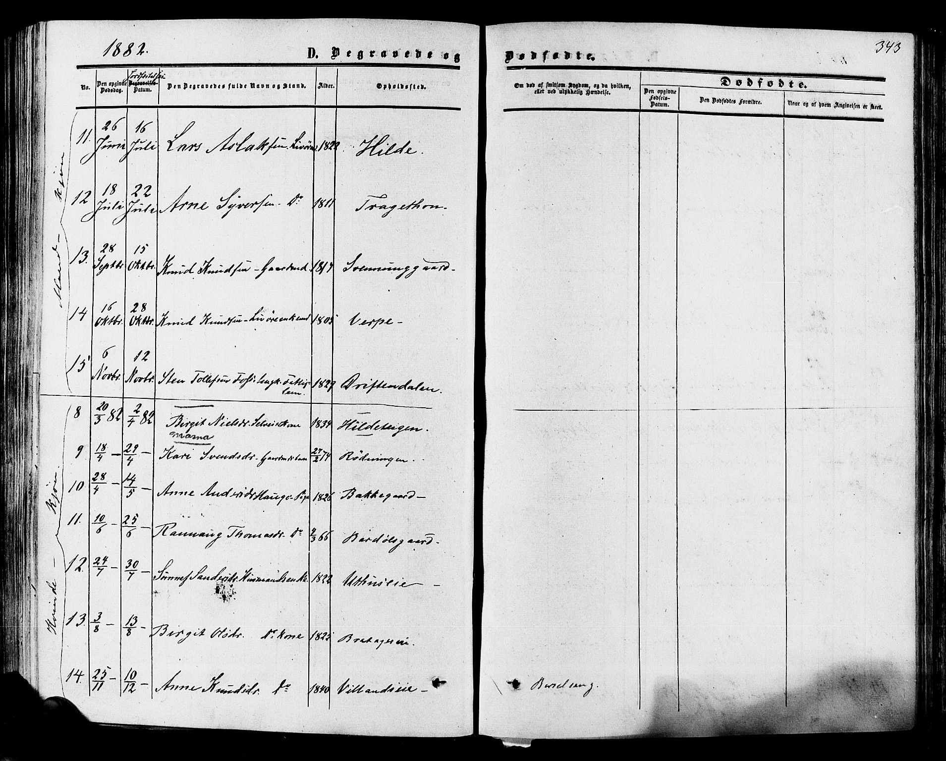 Hol kirkebøker, SAKO/A-227/F/Fa/L0002: Parish register (official) no. I 2, 1870-1886, p. 343