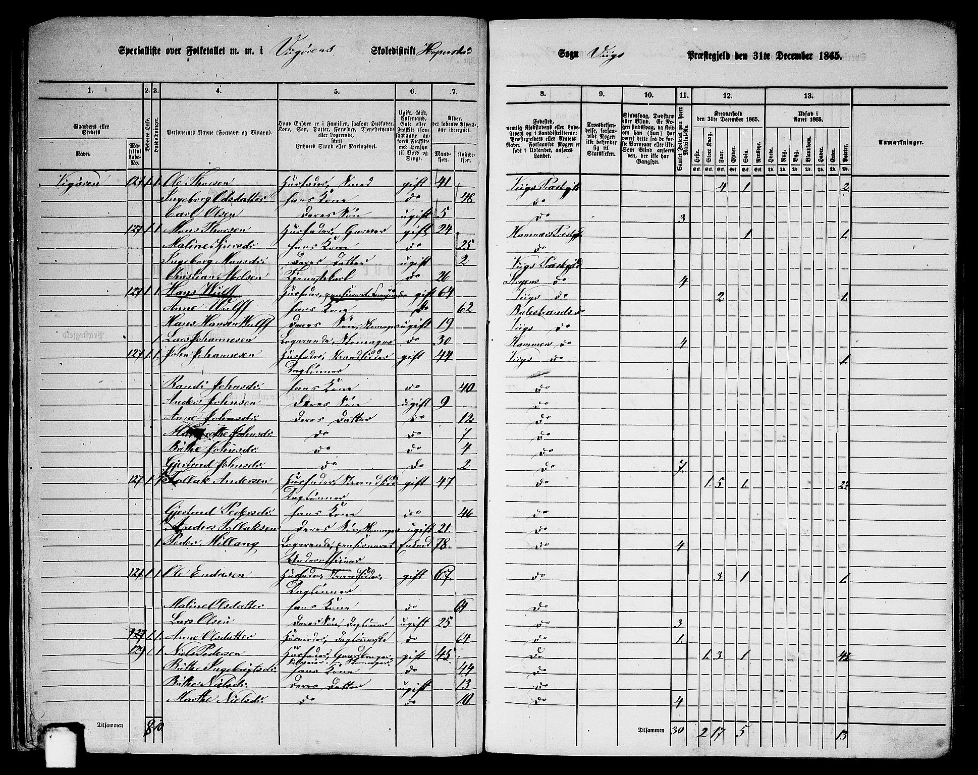 RA, 1865 census for Vik, 1865, p. 24