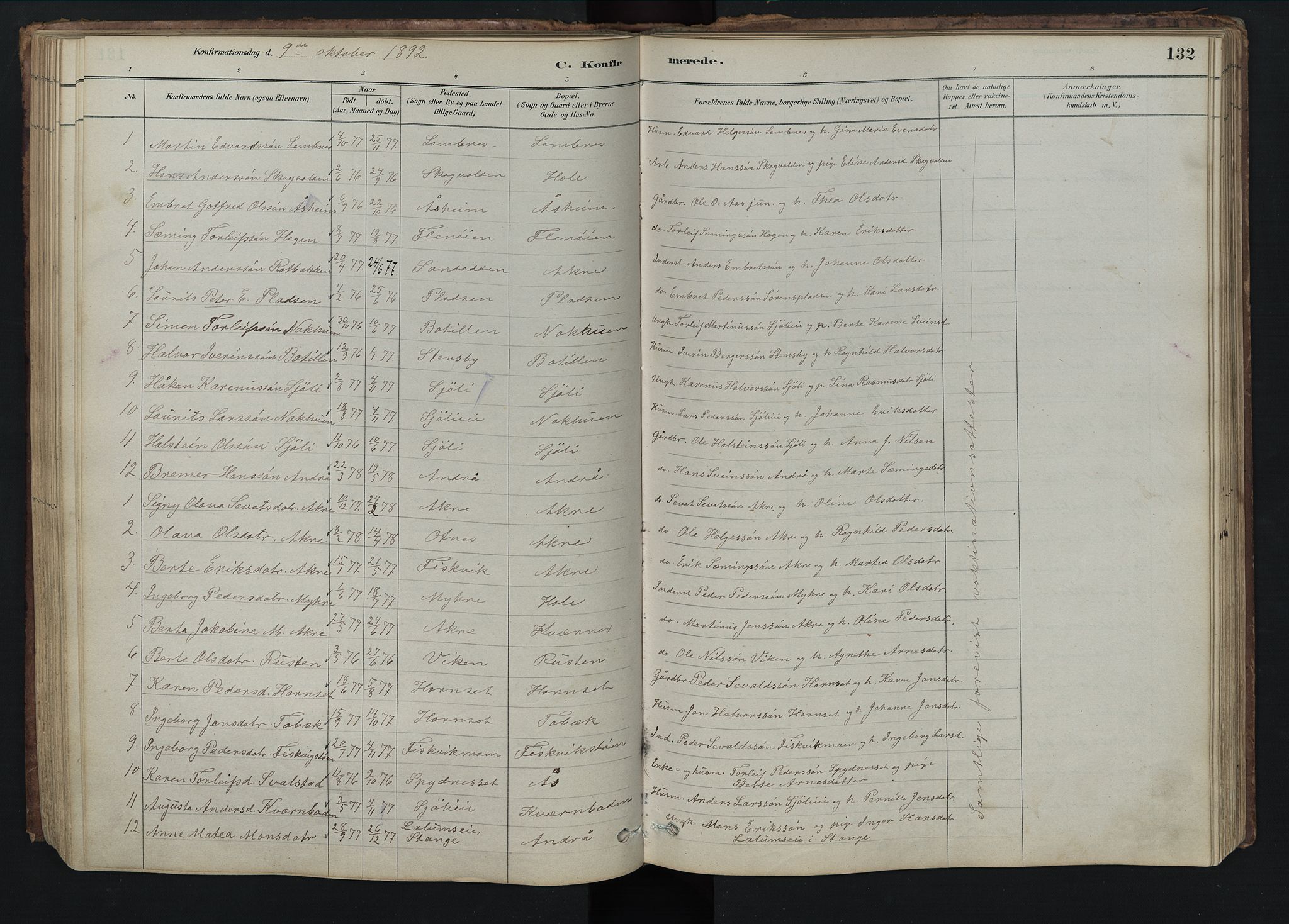 Rendalen prestekontor, SAH/PREST-054/H/Ha/Hab/L0009: Parish register (copy) no. 9, 1879-1902, p. 132