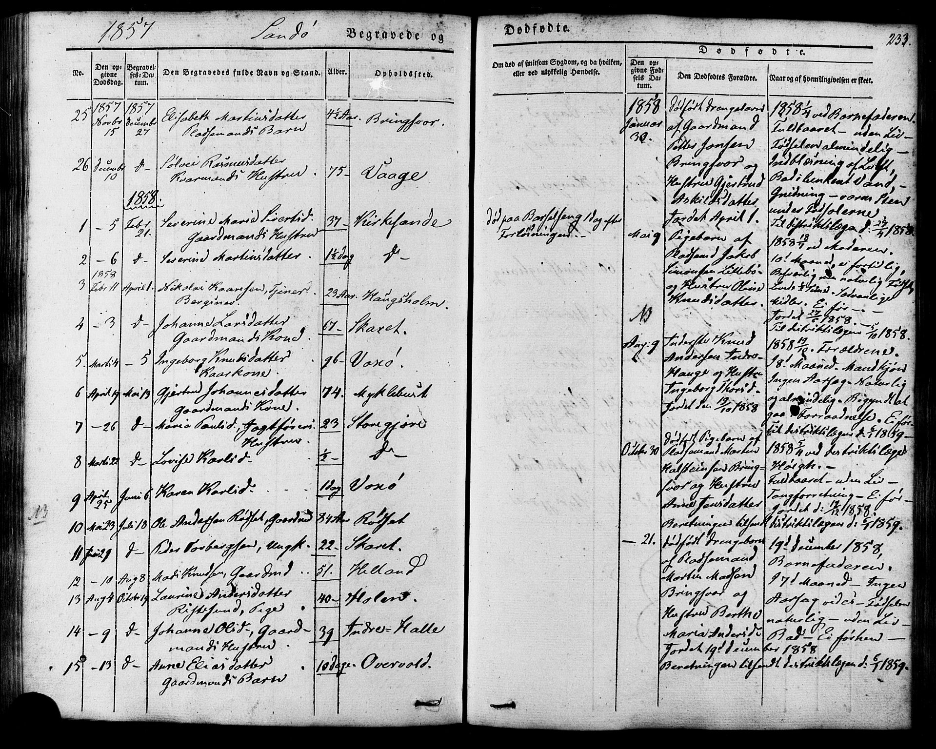 Ministerialprotokoller, klokkerbøker og fødselsregistre - Møre og Romsdal, AV/SAT-A-1454/503/L0034: Parish register (official) no. 503A02, 1841-1884, p. 233