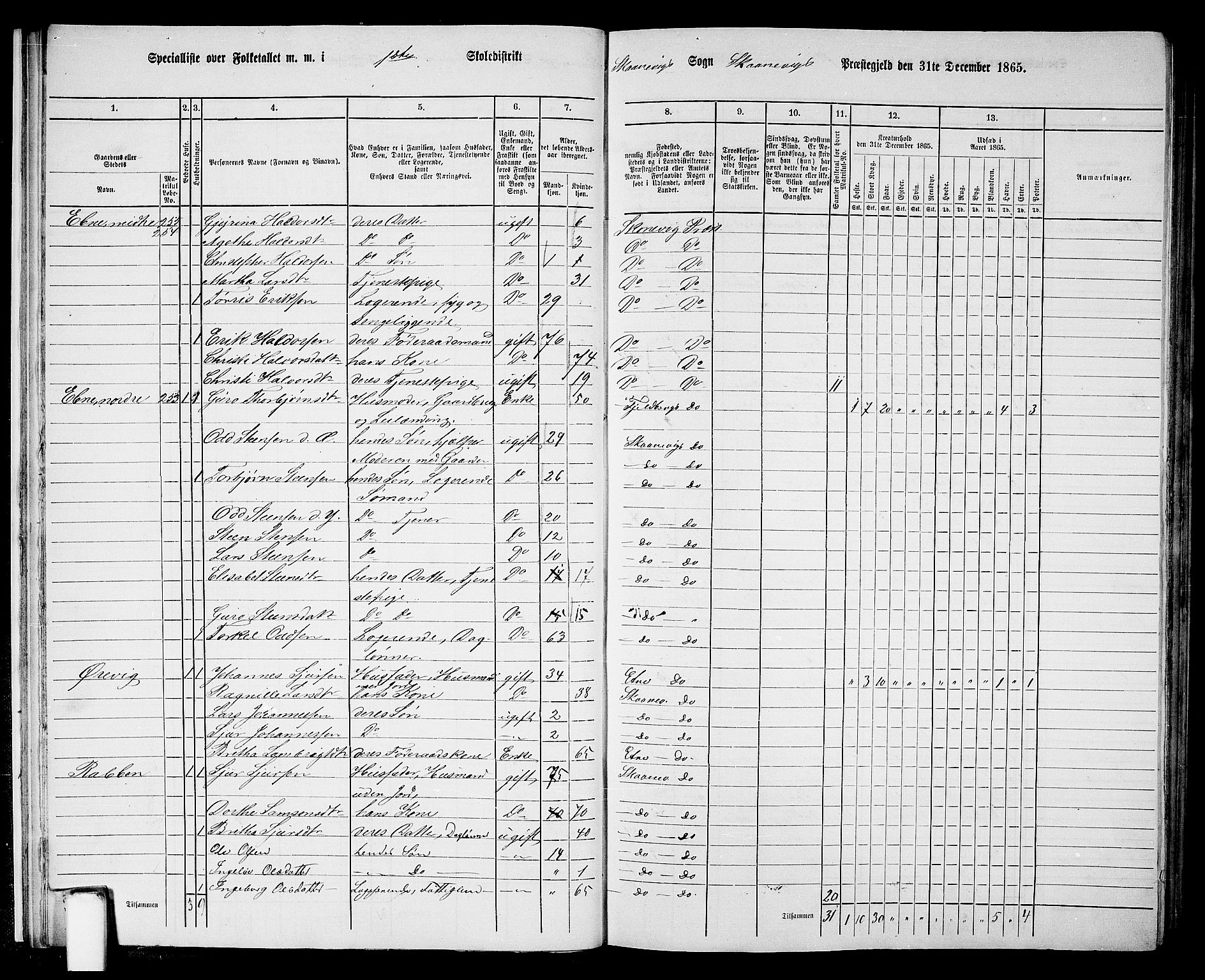 RA, 1865 census for Skånevik, 1865, p. 14