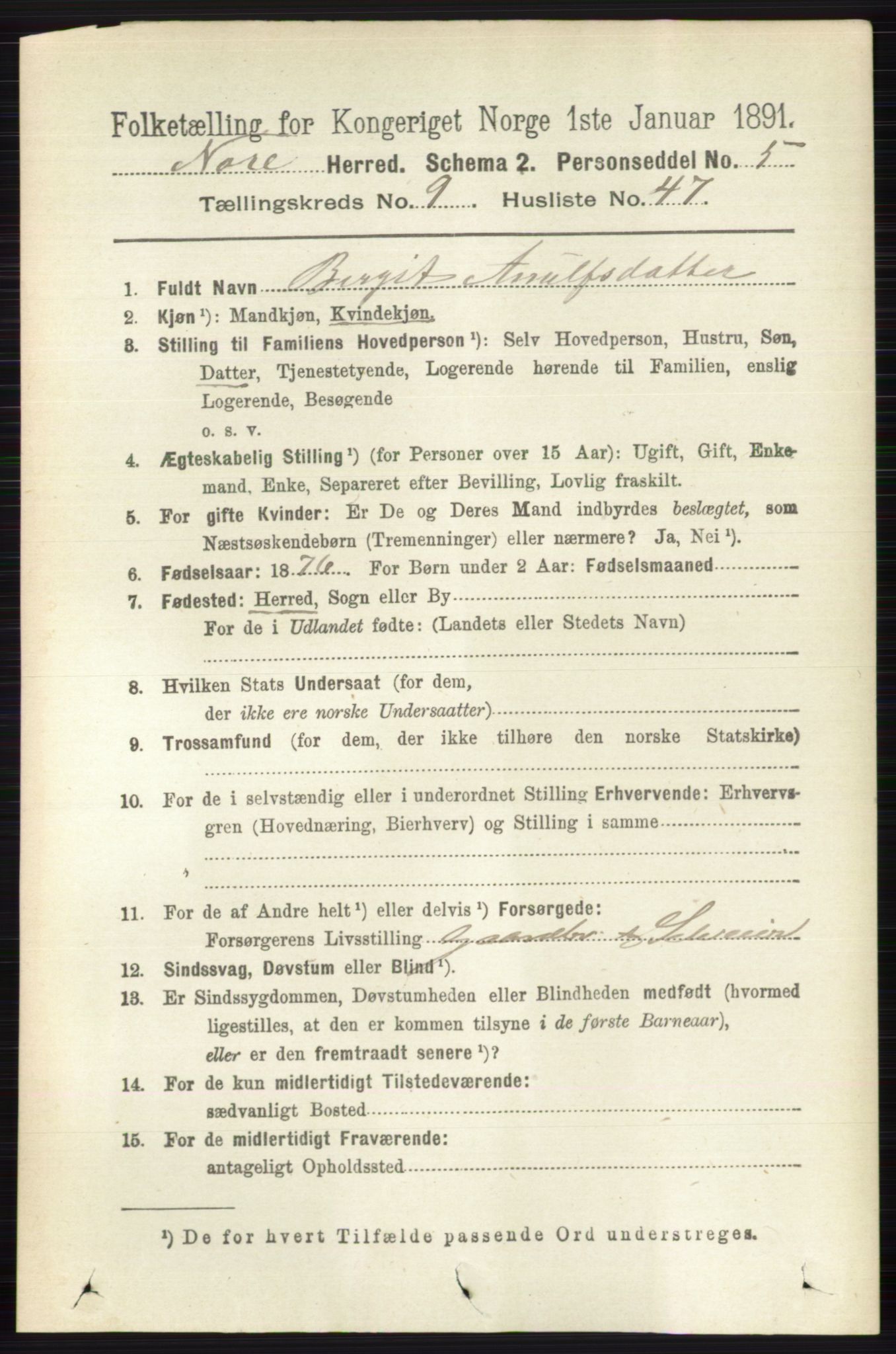 RA, 1891 census for 0633 Nore, 1891, p. 3482