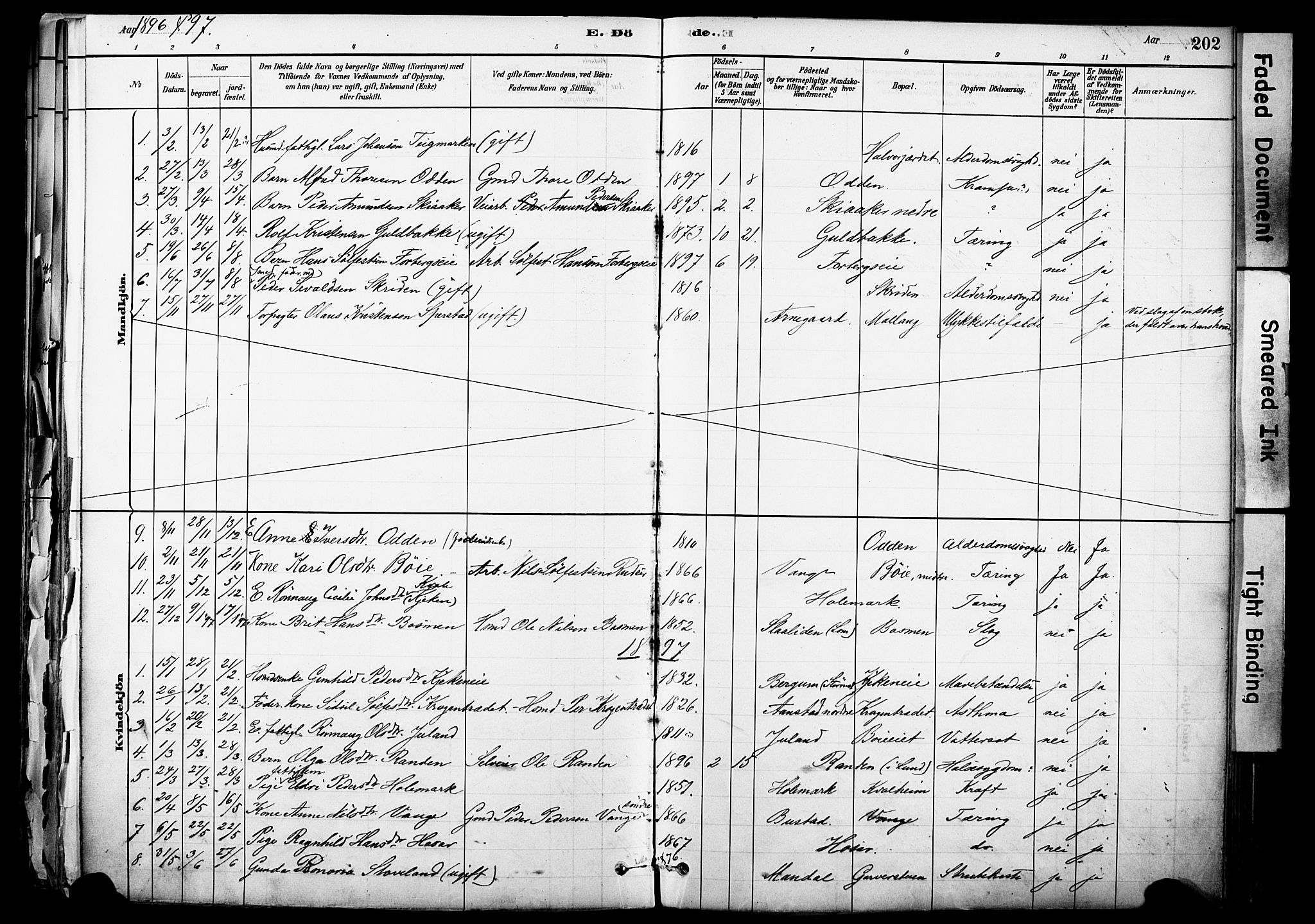 Skjåk prestekontor, SAH/PREST-072/H/Ha/Haa/L0003: Parish register (official) no. 3, 1880-1907, p. 202