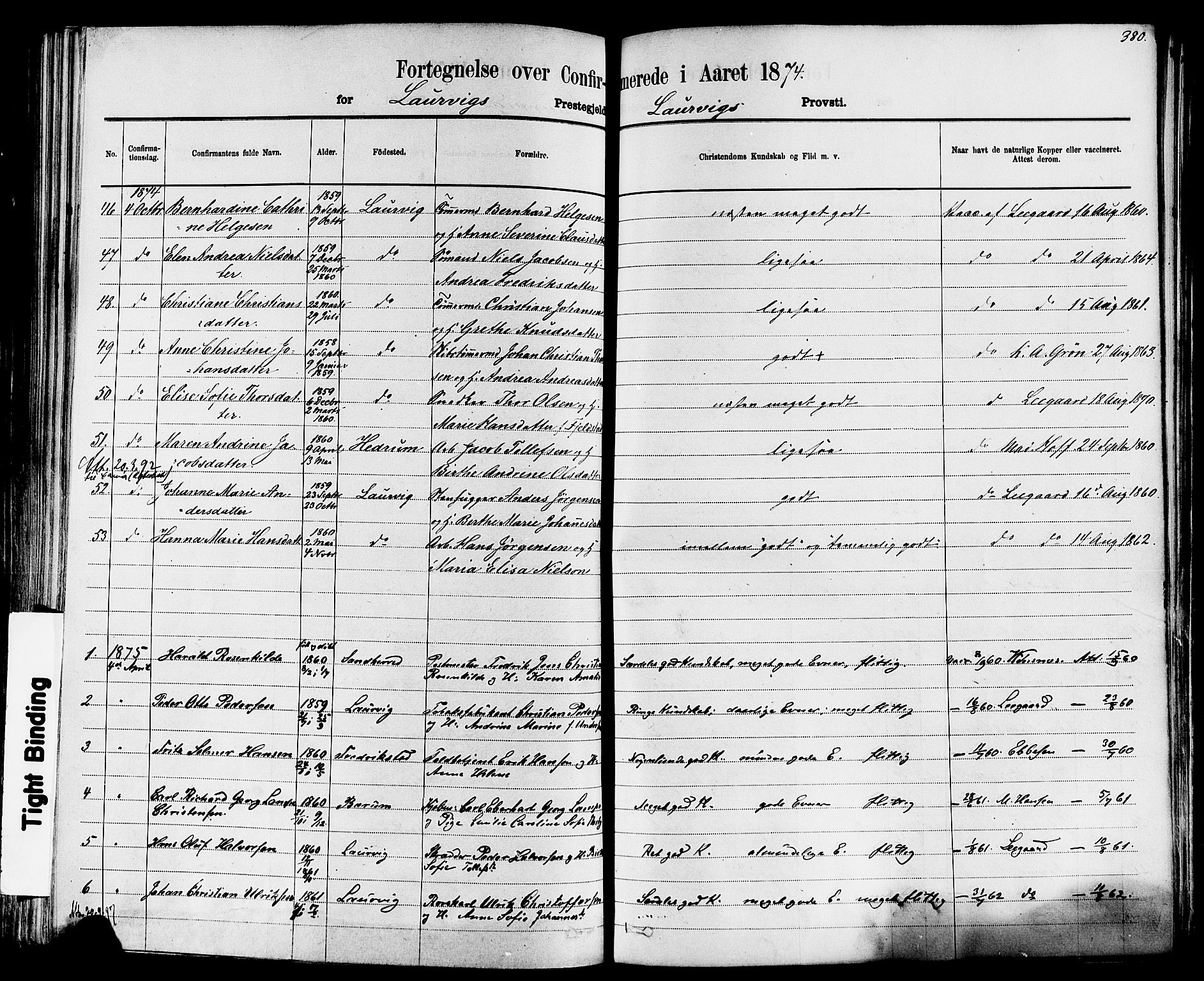 Larvik kirkebøker, AV/SAKO-A-352/F/Fa/L0006: Parish register (official) no. I 6, 1871-1883, p. 380