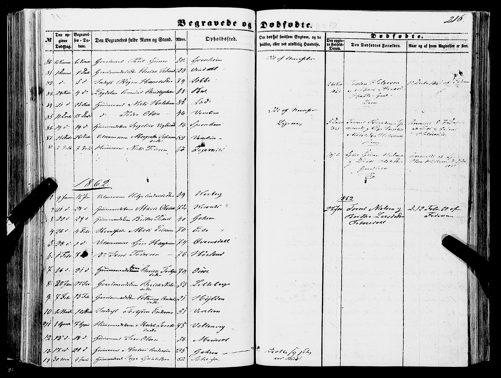 Ulvik sokneprestembete, SAB/A-78801/H/Haa: Parish register (official) no. A 13, 1853-1863, p. 216