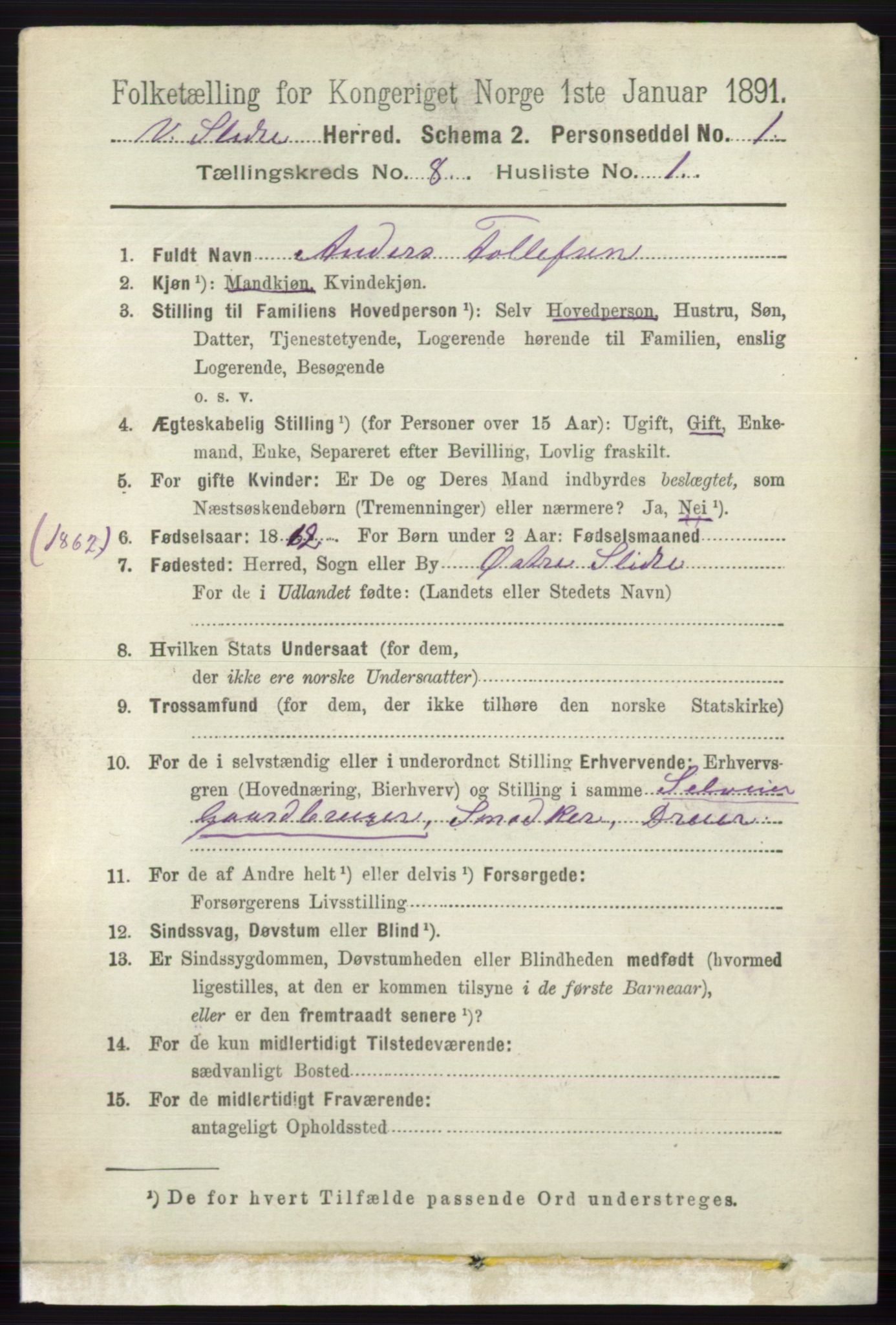 RA, 1891 census for 0543 Vestre Slidre, 1891, p. 2984