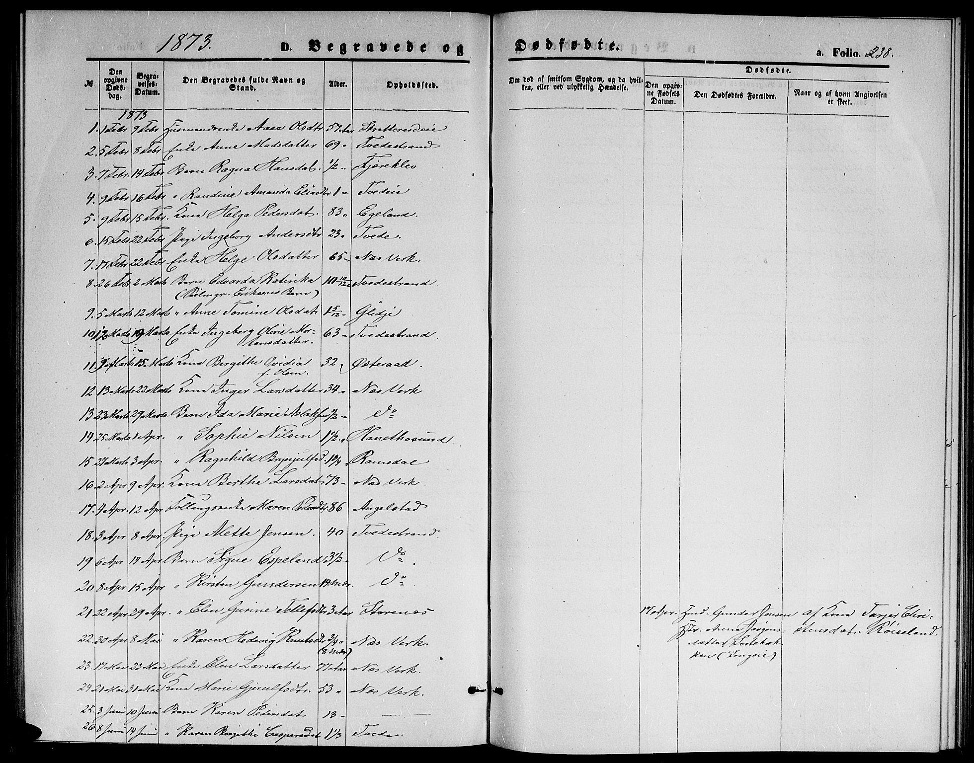 Holt sokneprestkontor, AV/SAK-1111-0021/F/Fb/L0009: Parish register (copy) no. B 9, 1871-1883, p. 238