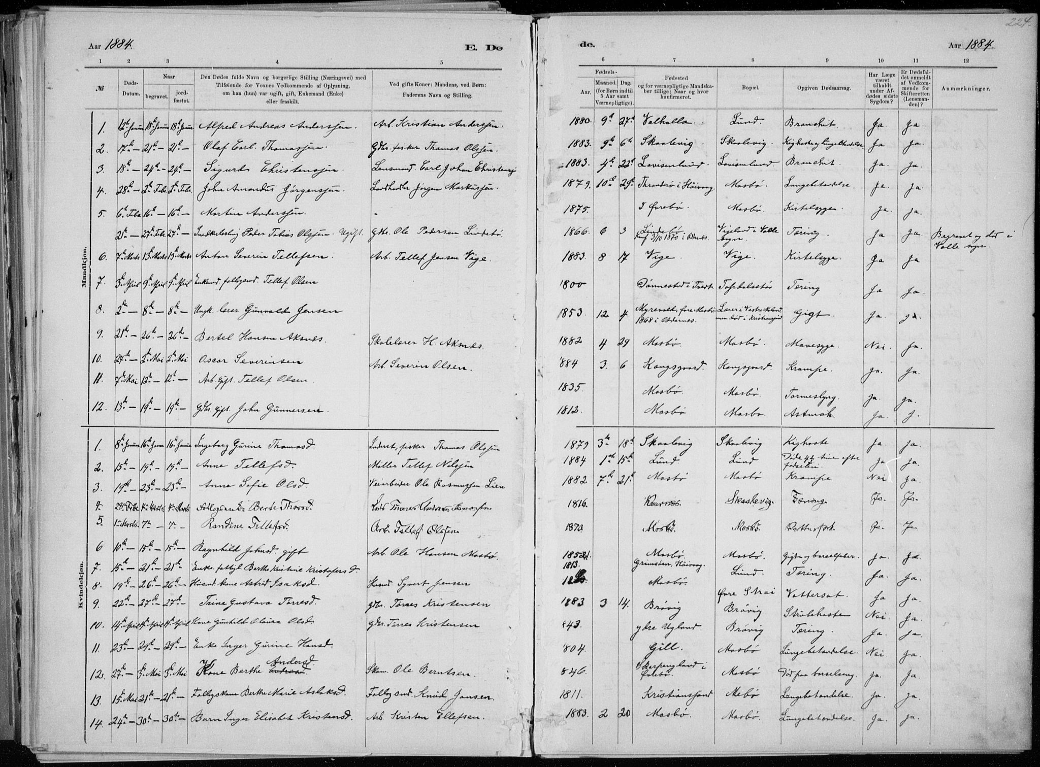 Oddernes sokneprestkontor, SAK/1111-0033/F/Fa/Faa/L0009: Parish register (official) no. A 9, 1884-1896, p. 224