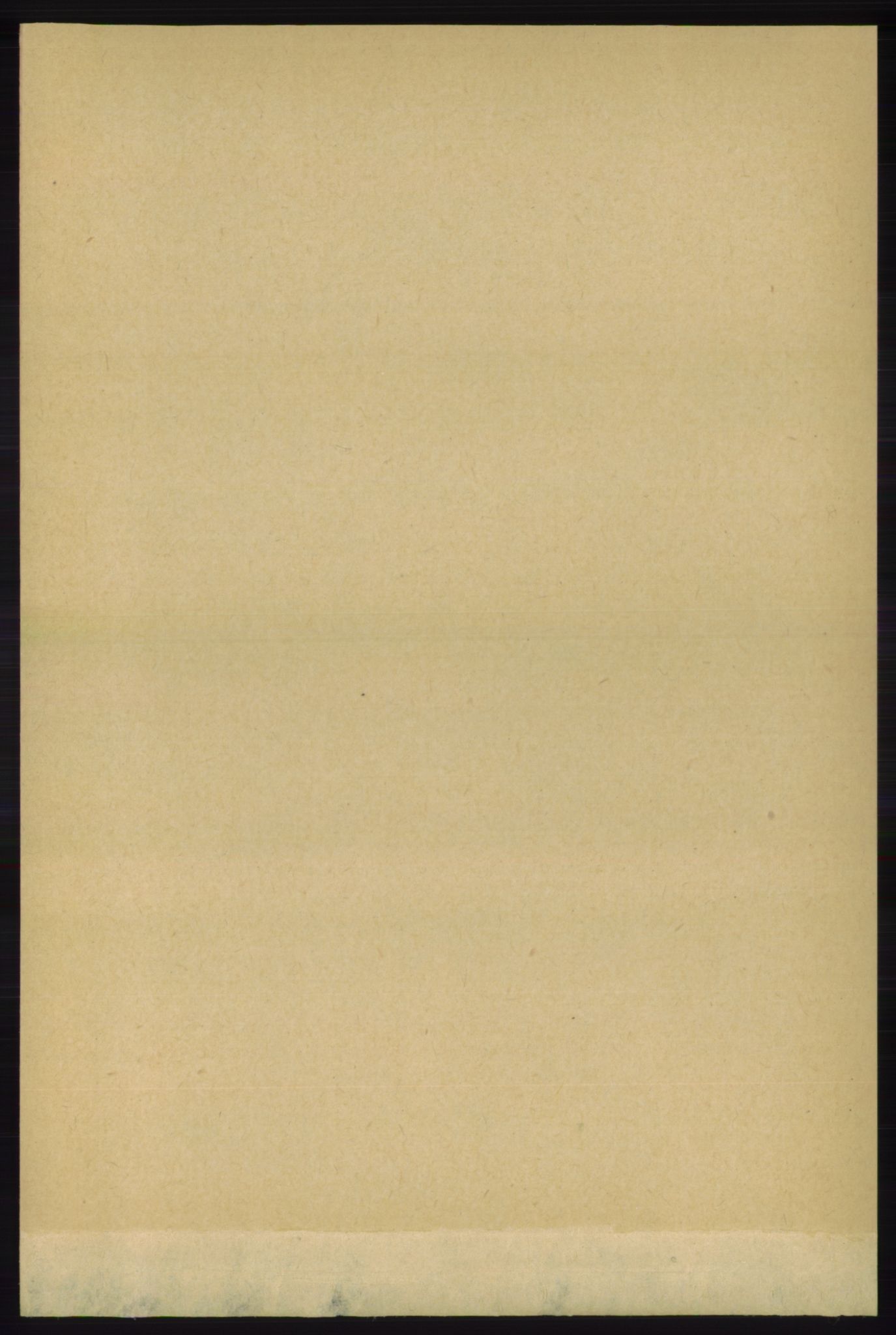 RA, 1891 census for 1139 Nedstrand, 1891, p. 646