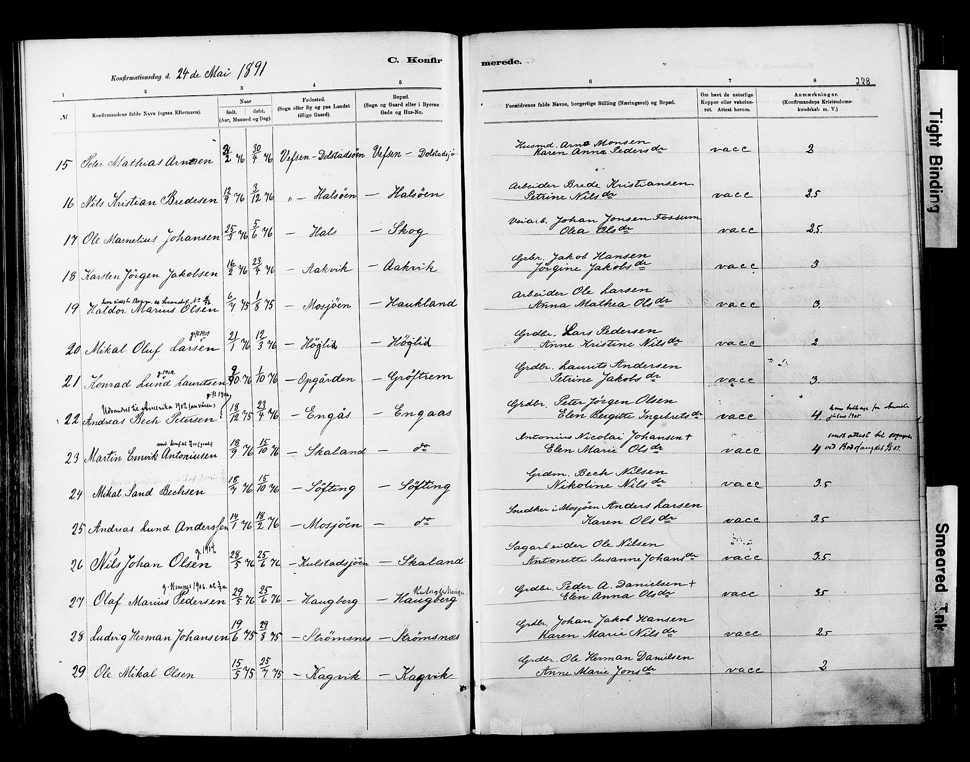 Ministerialprotokoller, klokkerbøker og fødselsregistre - Nordland, AV/SAT-A-1459/820/L0295: Parish register (official) no. 820A16, 1880-1896, p. 228