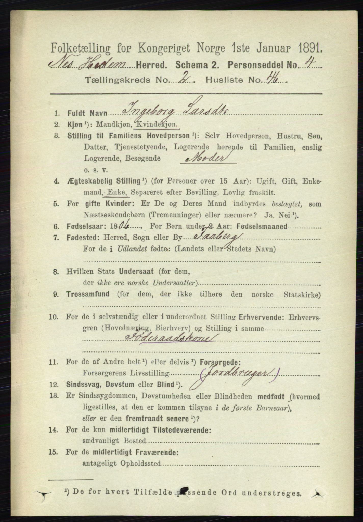 RA, 1891 census for 0411 Nes, 1891, p. 1404