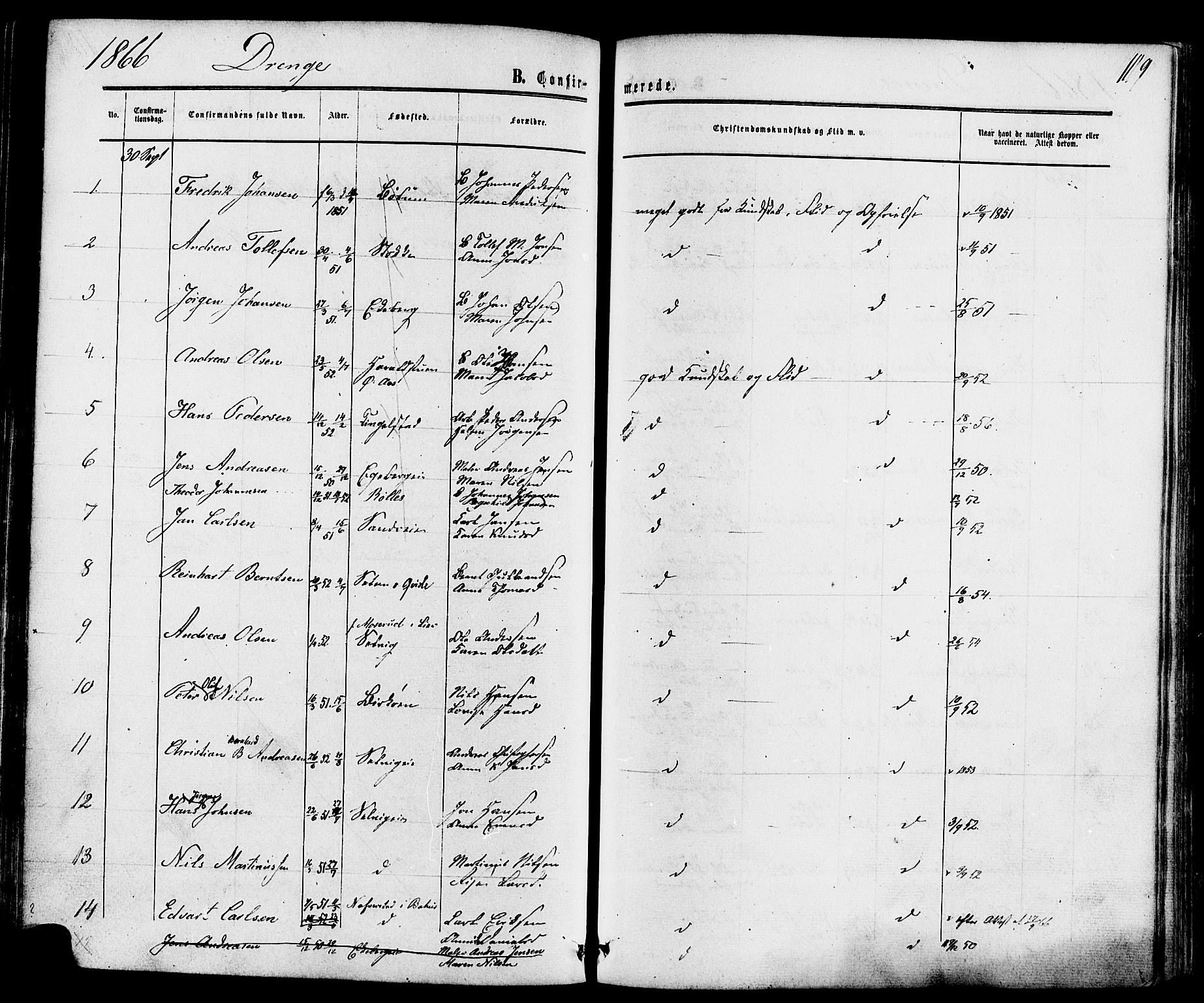 Sande Kirkebøker, SAKO/A-53/F/Fa/L0005: Parish register (official) no. 5, 1865-1877, p. 119