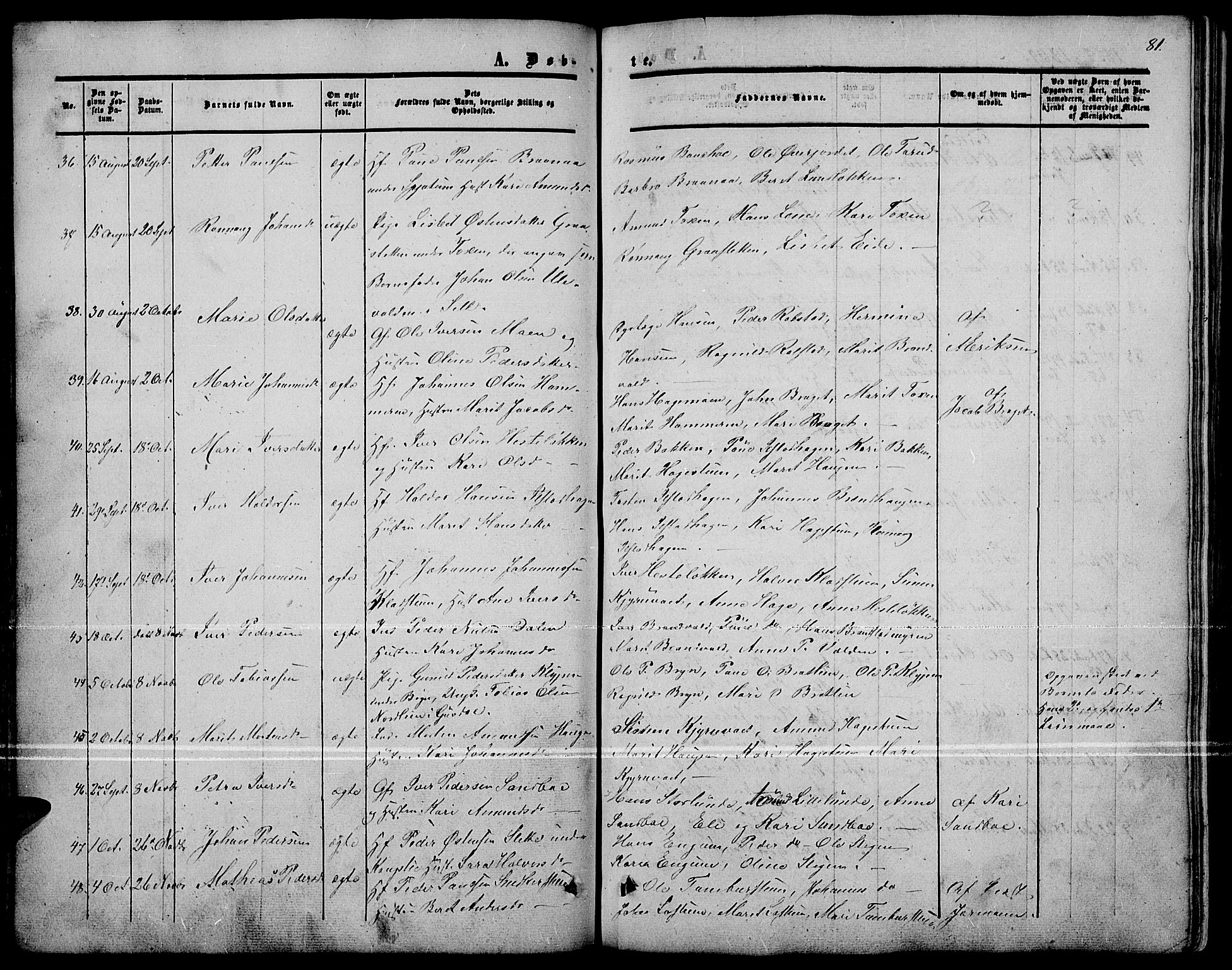 Nord-Fron prestekontor, AV/SAH-PREST-080/H/Ha/Hab/L0001: Parish register (copy) no. 1, 1851-1883, p. 81