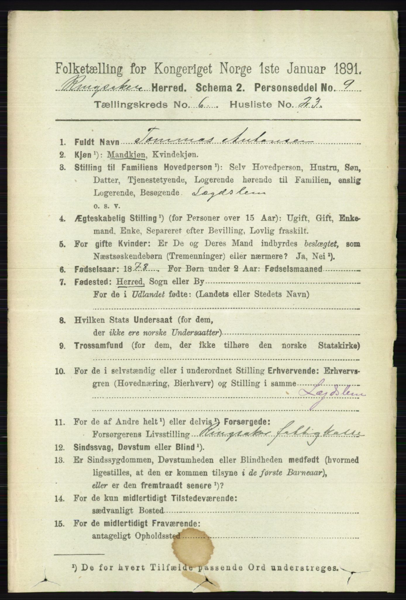 RA, 1891 census for 0412 Ringsaker, 1891, p. 3315