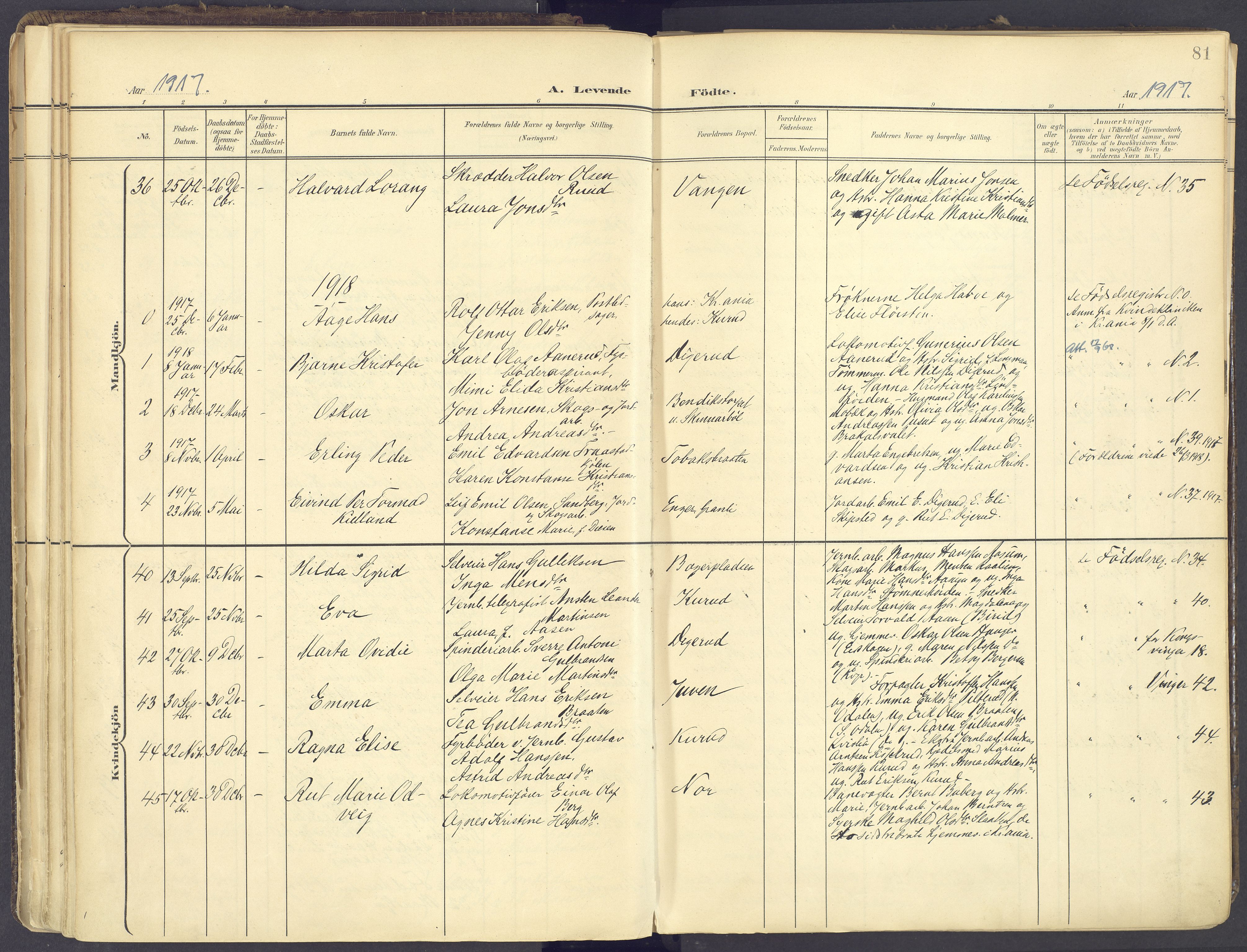 Vinger prestekontor, AV/SAH-PREST-024/H/Ha/Haa/L0017: Parish register (official) no. 17, 1901-1927, p. 81