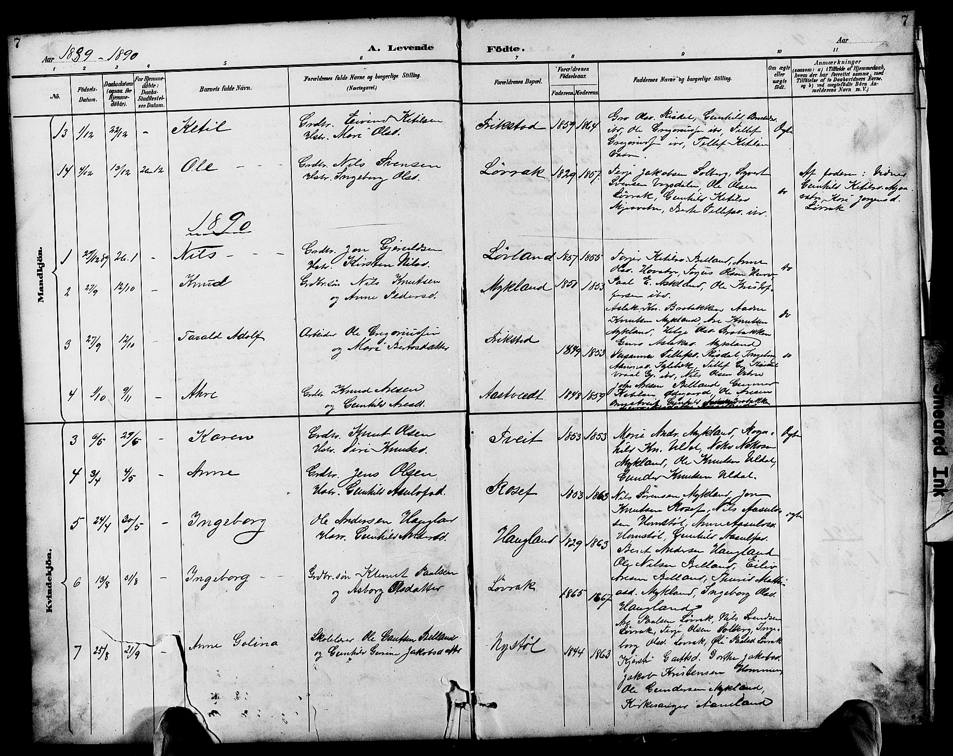 Herefoss sokneprestkontor, AV/SAK-1111-0019/F/Fb/Fbc/L0003: Parish register (copy) no. B 3, 1887-1915, p. 7