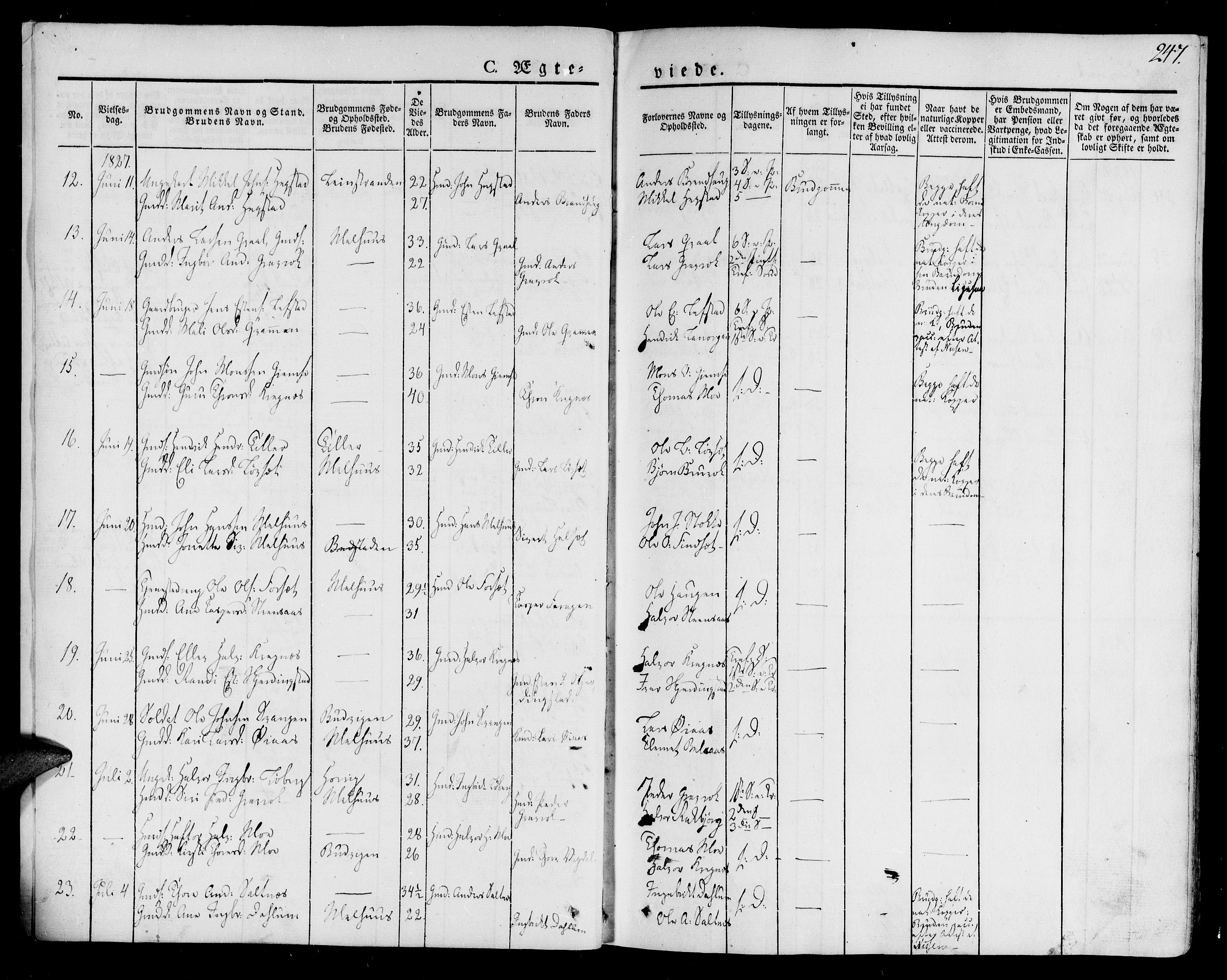 Ministerialprotokoller, klokkerbøker og fødselsregistre - Sør-Trøndelag, SAT/A-1456/691/L1070: Parish register (official) no. 691A05 /1, 1826-1841, p. 247