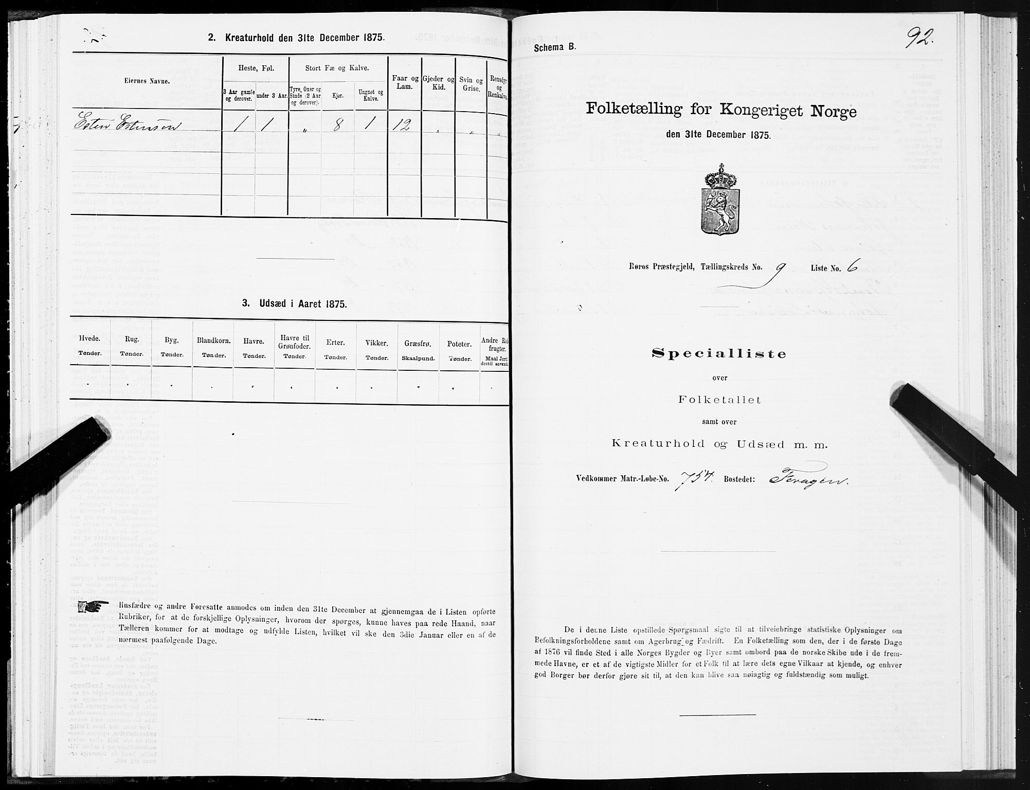 SAT, 1875 census for 1640P Røros, 1875, p. 5092