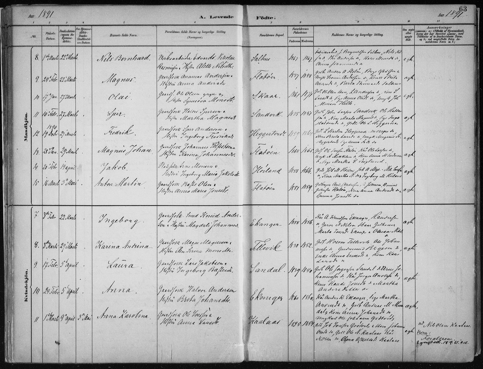 Hamre sokneprestembete, AV/SAB-A-75501/H/Ha/Haa/Haab/L0001: Parish register (official) no. B  1, 1882-1905, p. 63