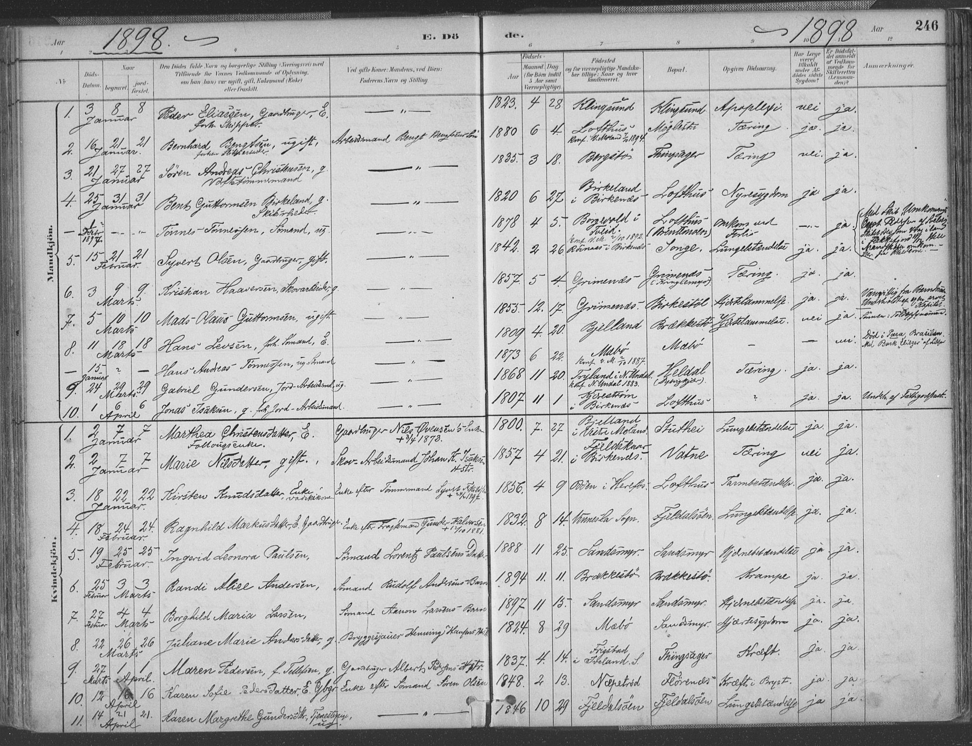 Vestre Moland sokneprestkontor, SAK/1111-0046/F/Fa/Fab/L0009: Parish register (official) no. A 9, 1884-1899, p. 246