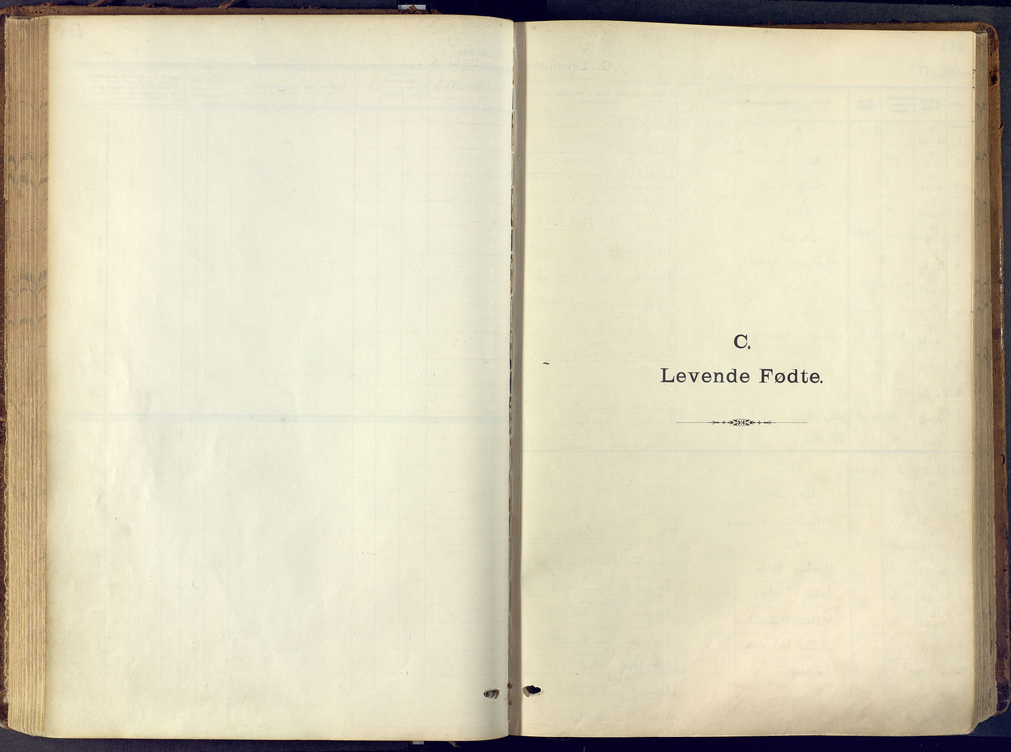 Skien kirkebøker, SAKO/A-302/F/Fa/L0013: Parish register (official) no. 13, 1915-1921