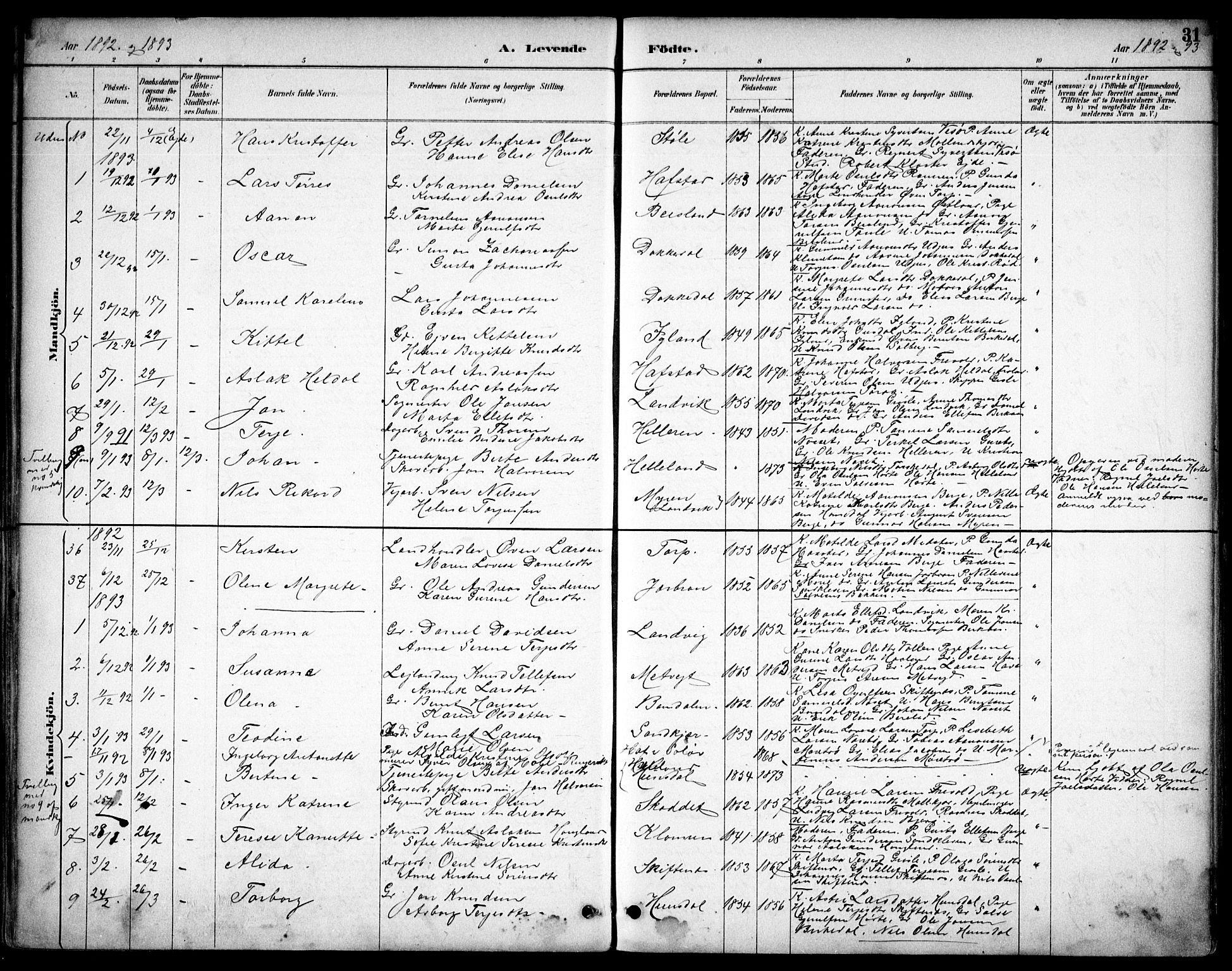 Hommedal sokneprestkontor, AV/SAK-1111-0023/F/Fb/Fbb/L0007: Parish register (copy) no. B 7, 1885-1904, p. 31