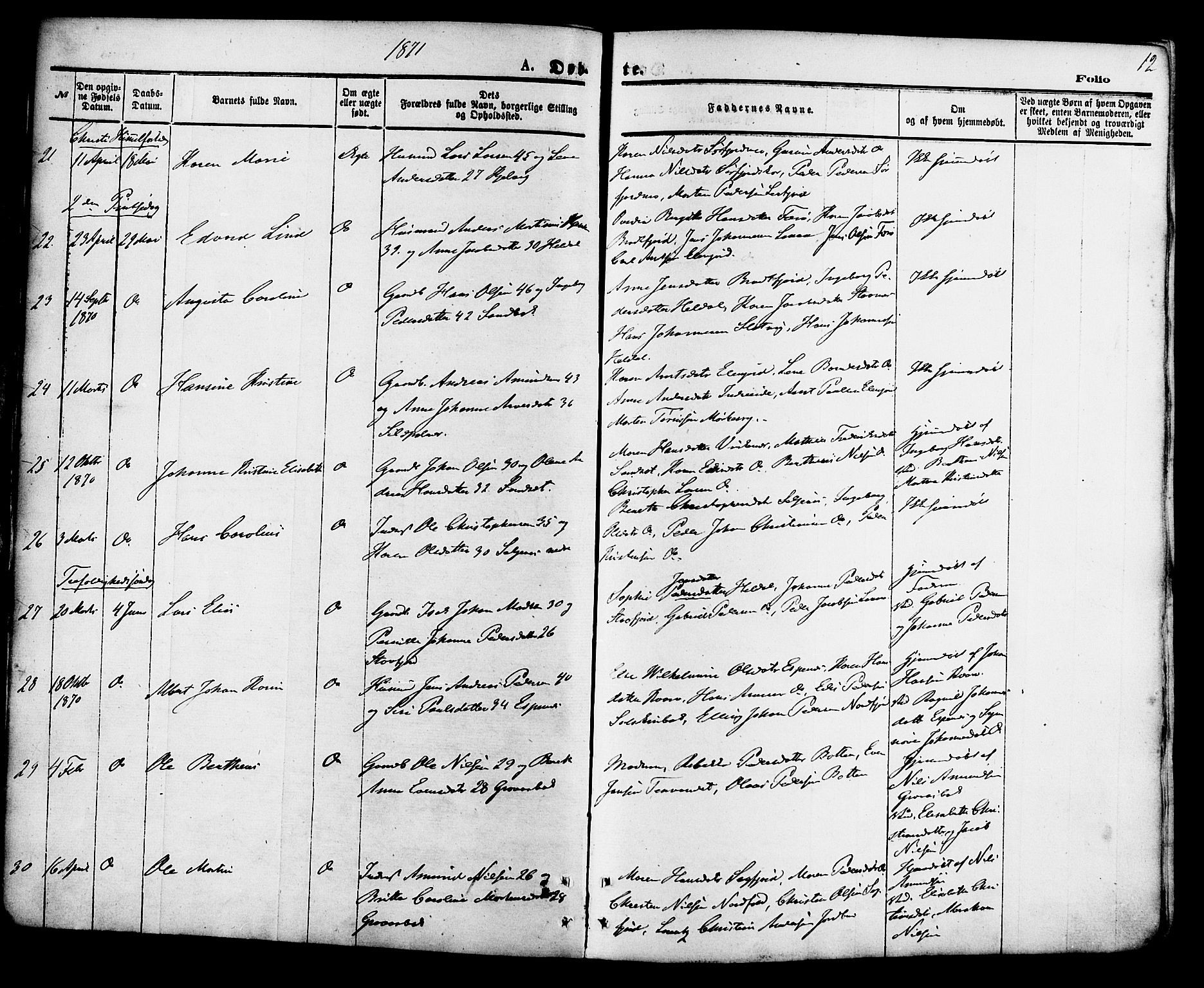 Ministerialprotokoller, klokkerbøker og fødselsregistre - Nordland, AV/SAT-A-1459/853/L0771: Parish register (official) no. 853A10, 1870-1881, p. 12