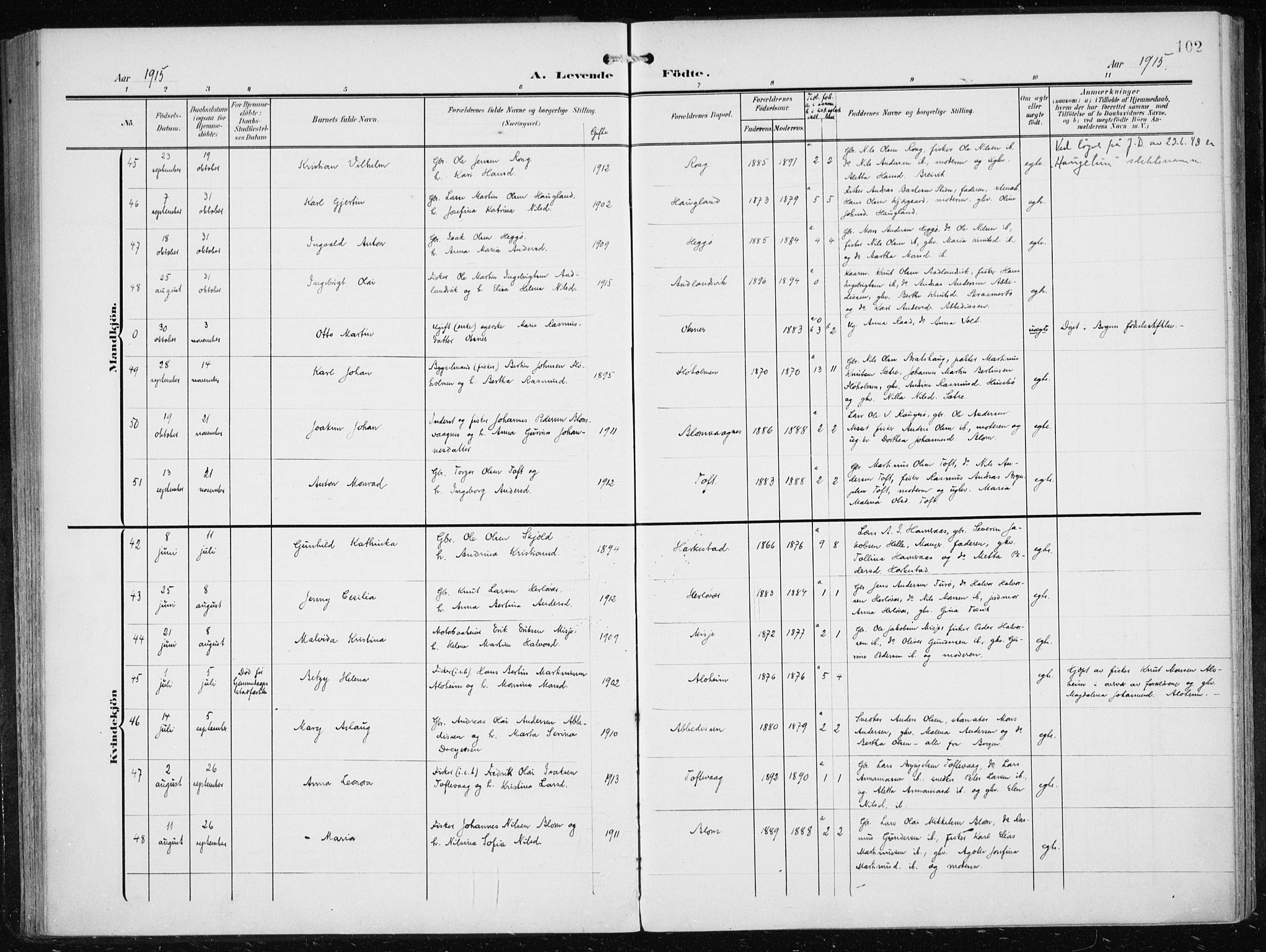 Herdla Sokneprestembete, AV/SAB-A-75701/H/Haa: Parish register (official) no. A 5, 1905-1918, p. 102