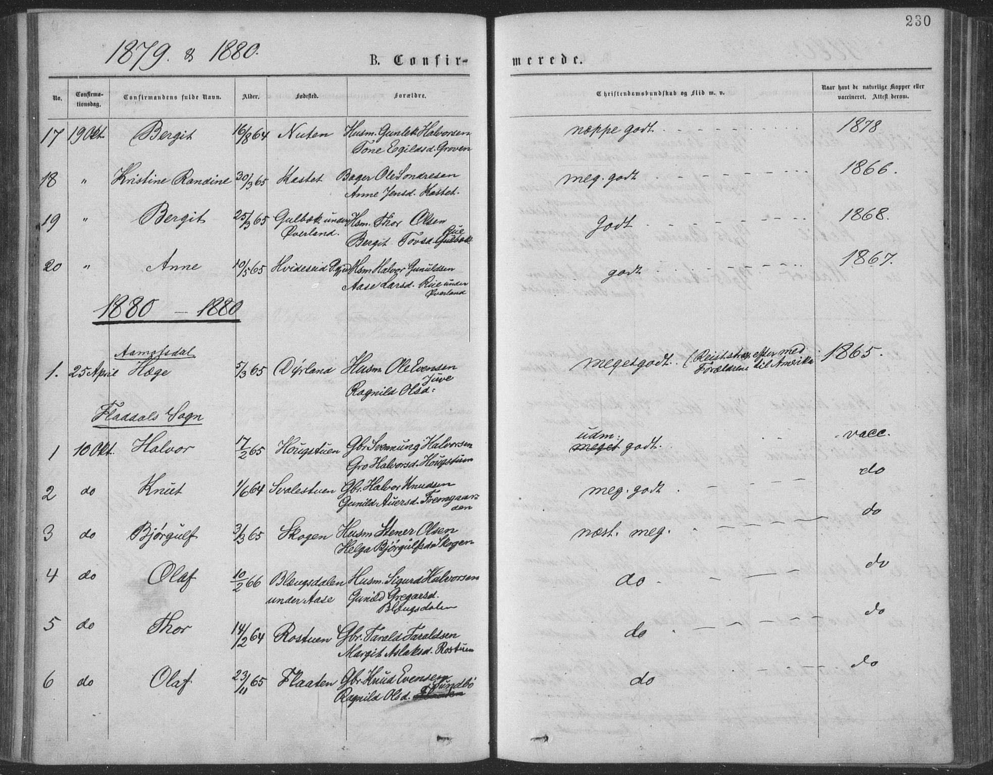 Seljord kirkebøker, SAKO/A-20/F/Fa/L0014: Parish register (official) no. I 14, 1877-1886, p. 230