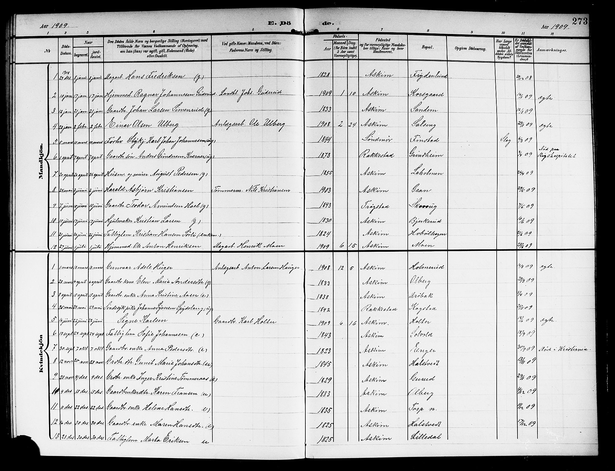 Askim prestekontor Kirkebøker, AV/SAO-A-10900/G/Ga/L0002: Parish register (copy) no. 2, 1903-1921, p. 273