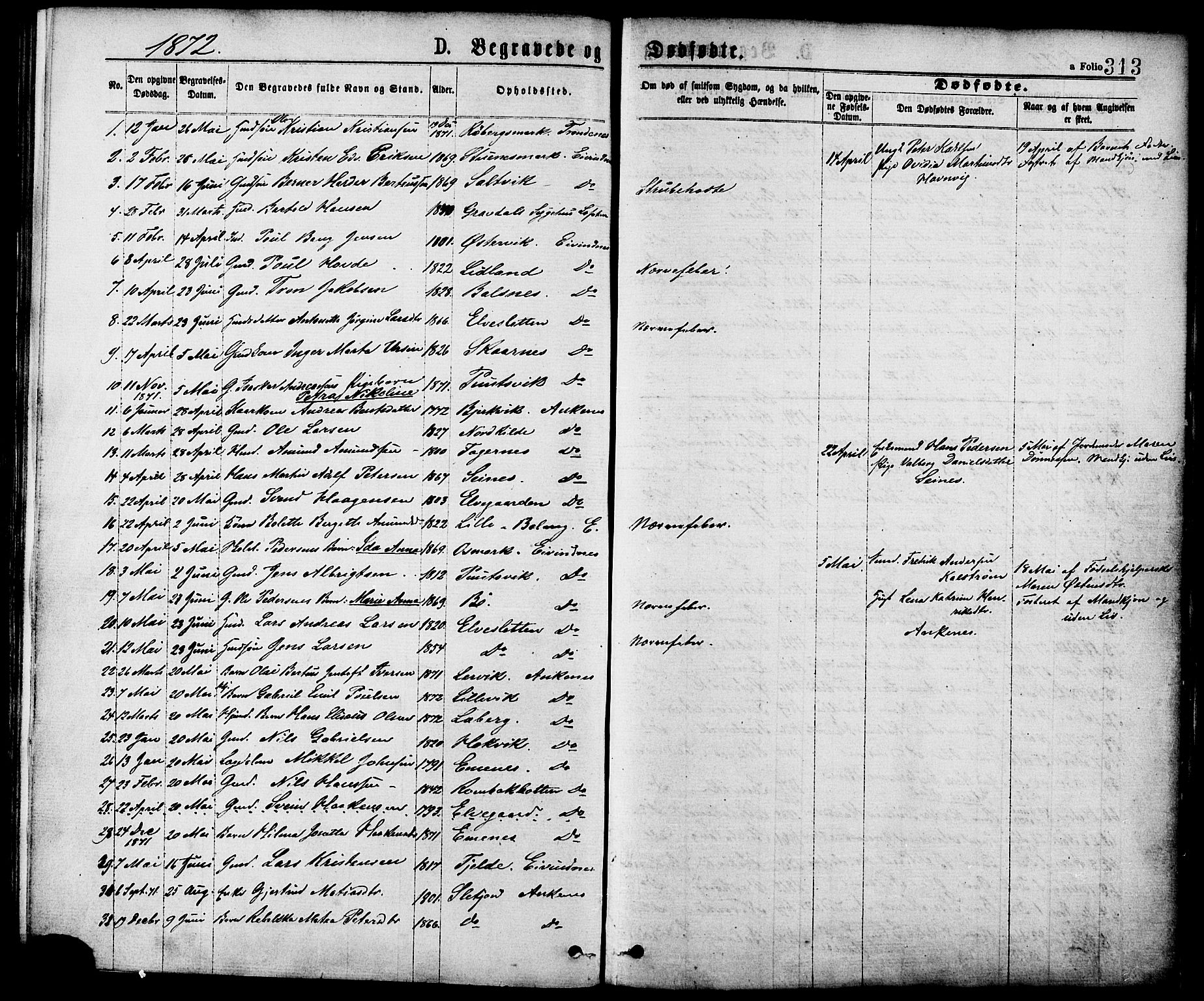 Ministerialprotokoller, klokkerbøker og fødselsregistre - Nordland, SAT/A-1459/863/L0897: Parish register (official) no. 863A09, 1872-1886, p. 313