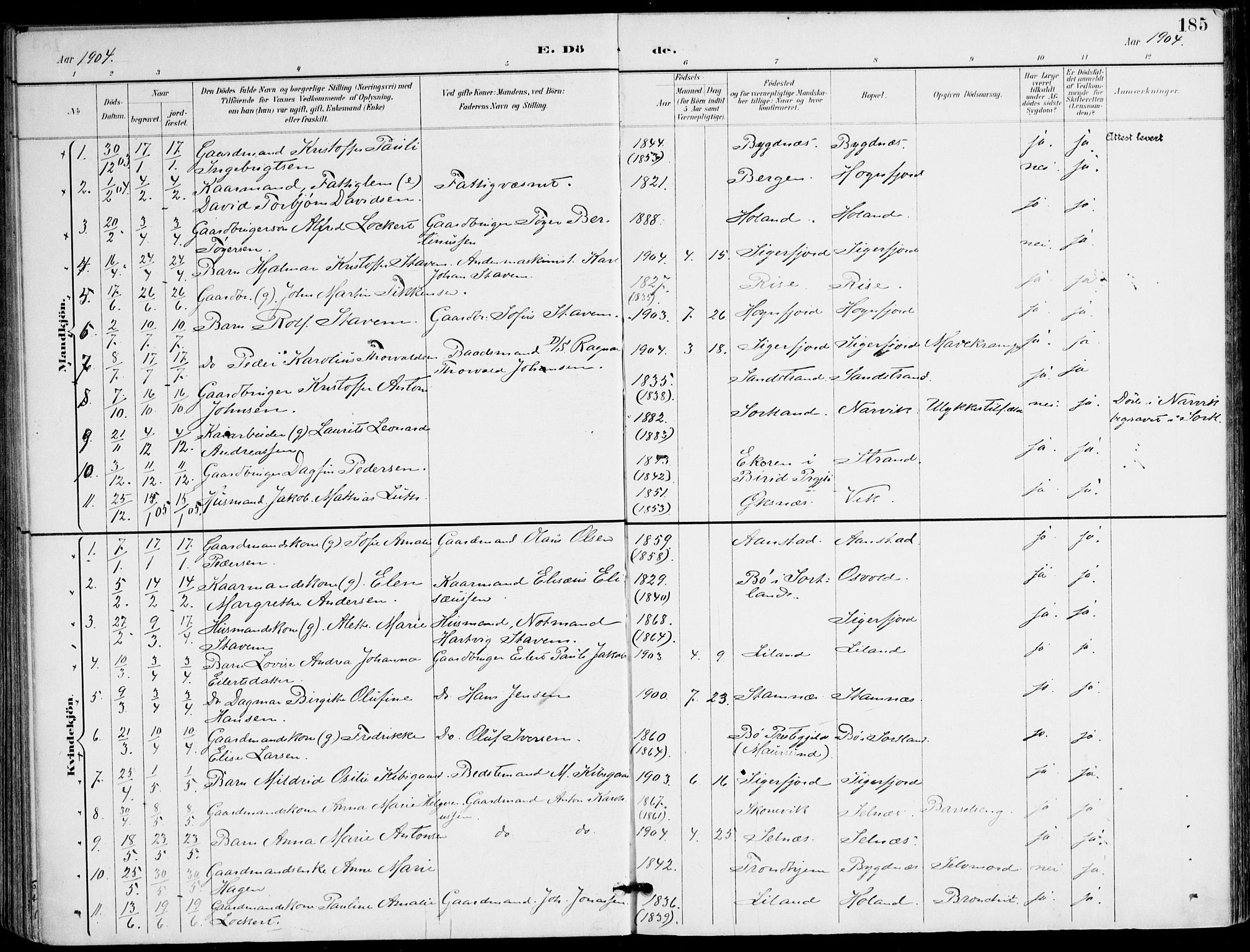 Ministerialprotokoller, klokkerbøker og fødselsregistre - Nordland, AV/SAT-A-1459/895/L1372: Parish register (official) no. 895A07, 1894-1914, p. 185