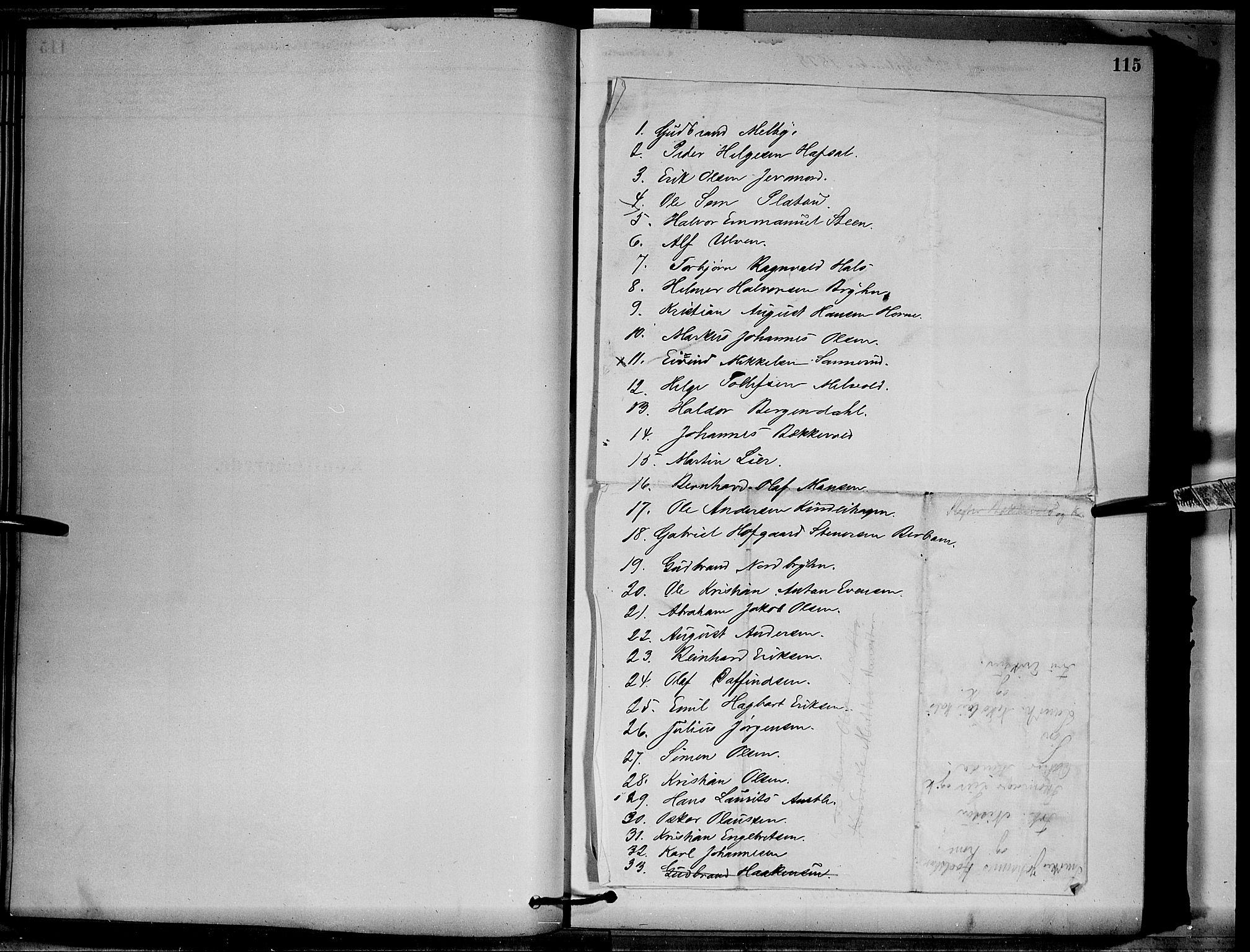 Vang prestekontor, Hedmark, AV/SAH-PREST-008/H/Ha/Hab/L0012: Parish register (copy) no. 12, 1878-1889, p. 115