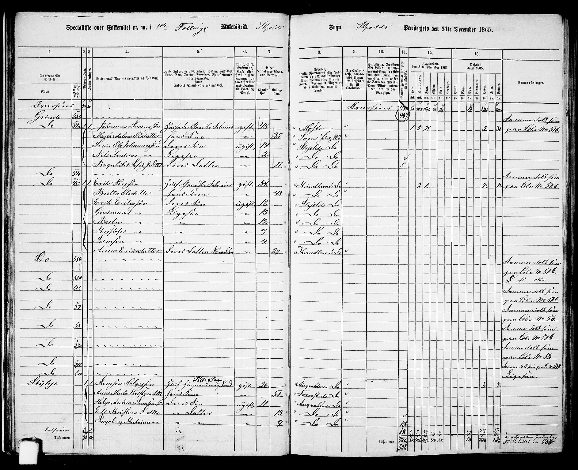 RA, 1865 census for Skjold, 1865, p. 30