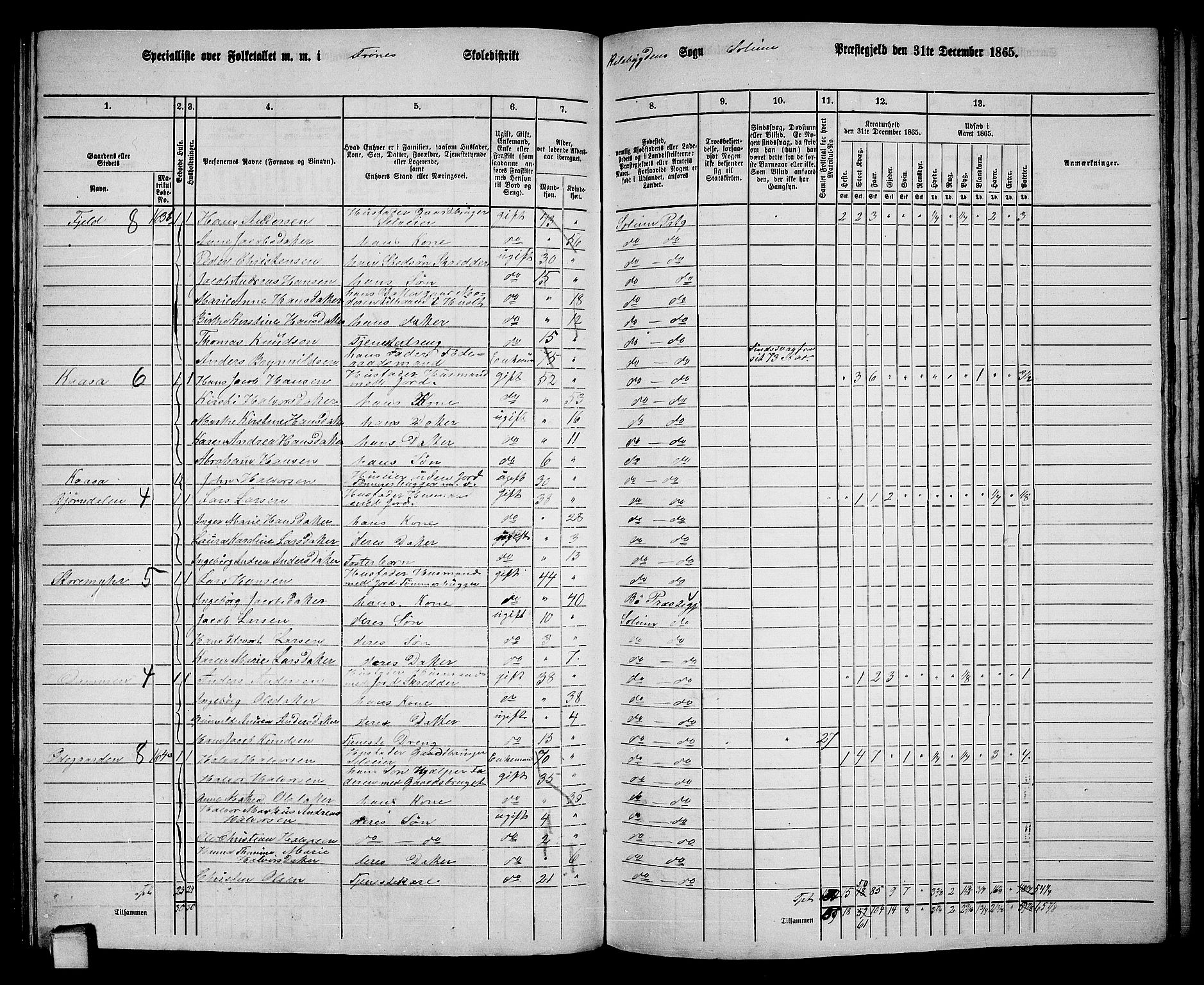 RA, 1865 census for Solum, 1865, p. 141